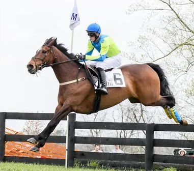 115th My Lady's Manor Steeplechase Races