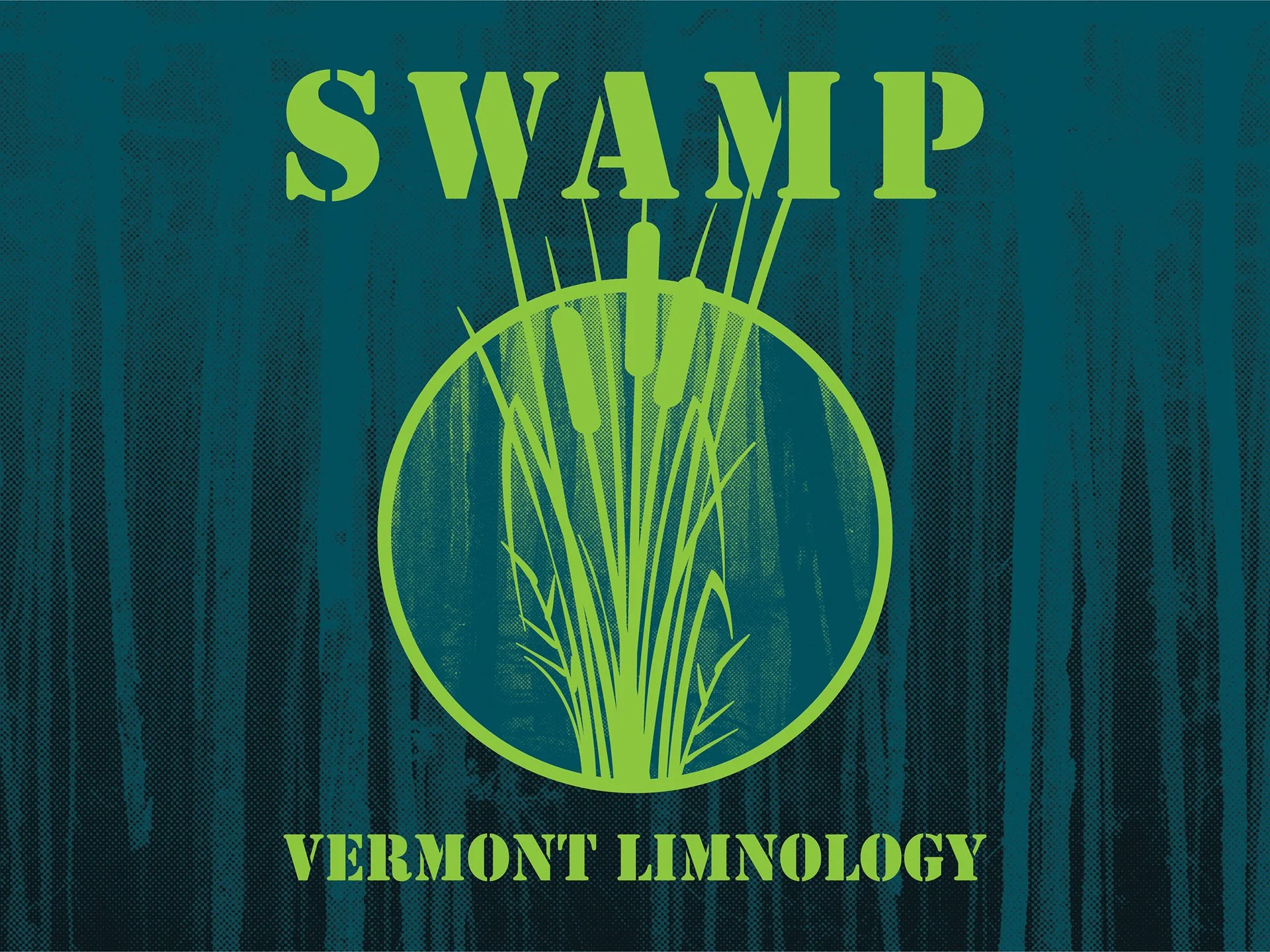 Cattails graphic for Vermont Limnology (unused)