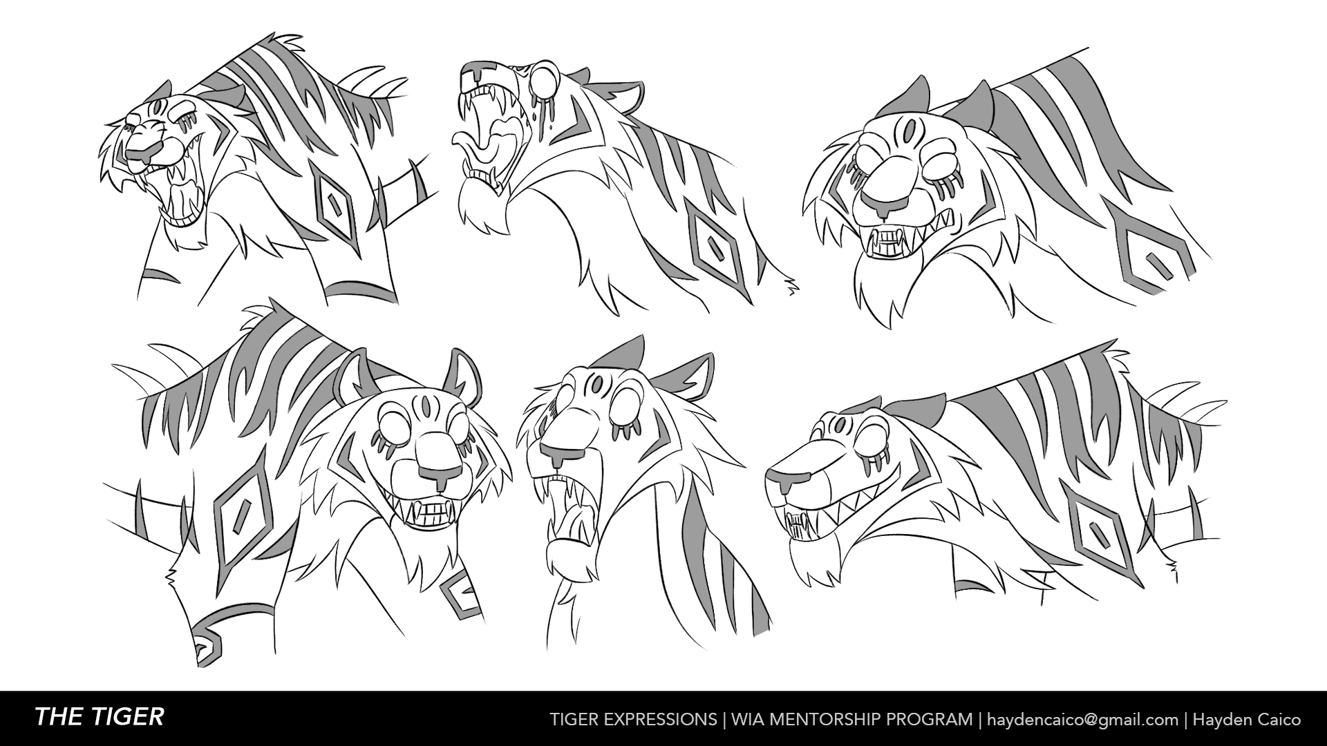 Tiger Expressions_Format.png