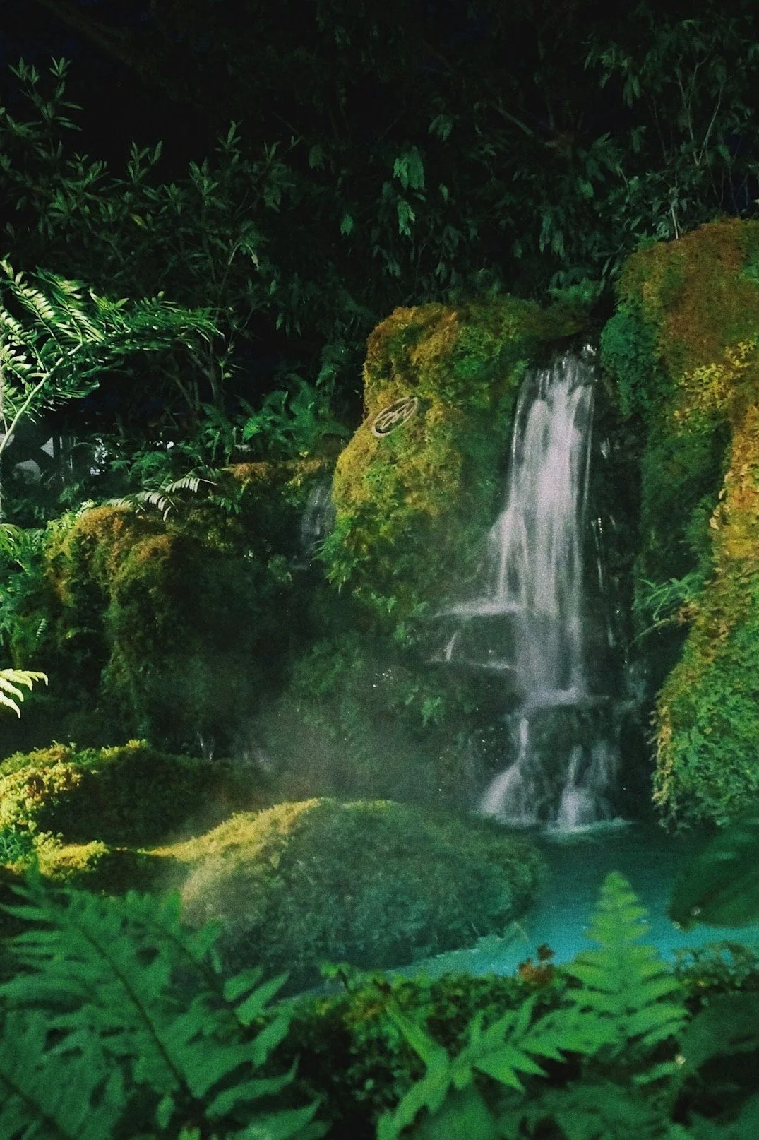 An exhilarating trail adventure through lush rainforests, featuring participants navigating hanging bridges, ziplining, and exploring diverse flora and fauna, showcasing the thrill of nature exploration