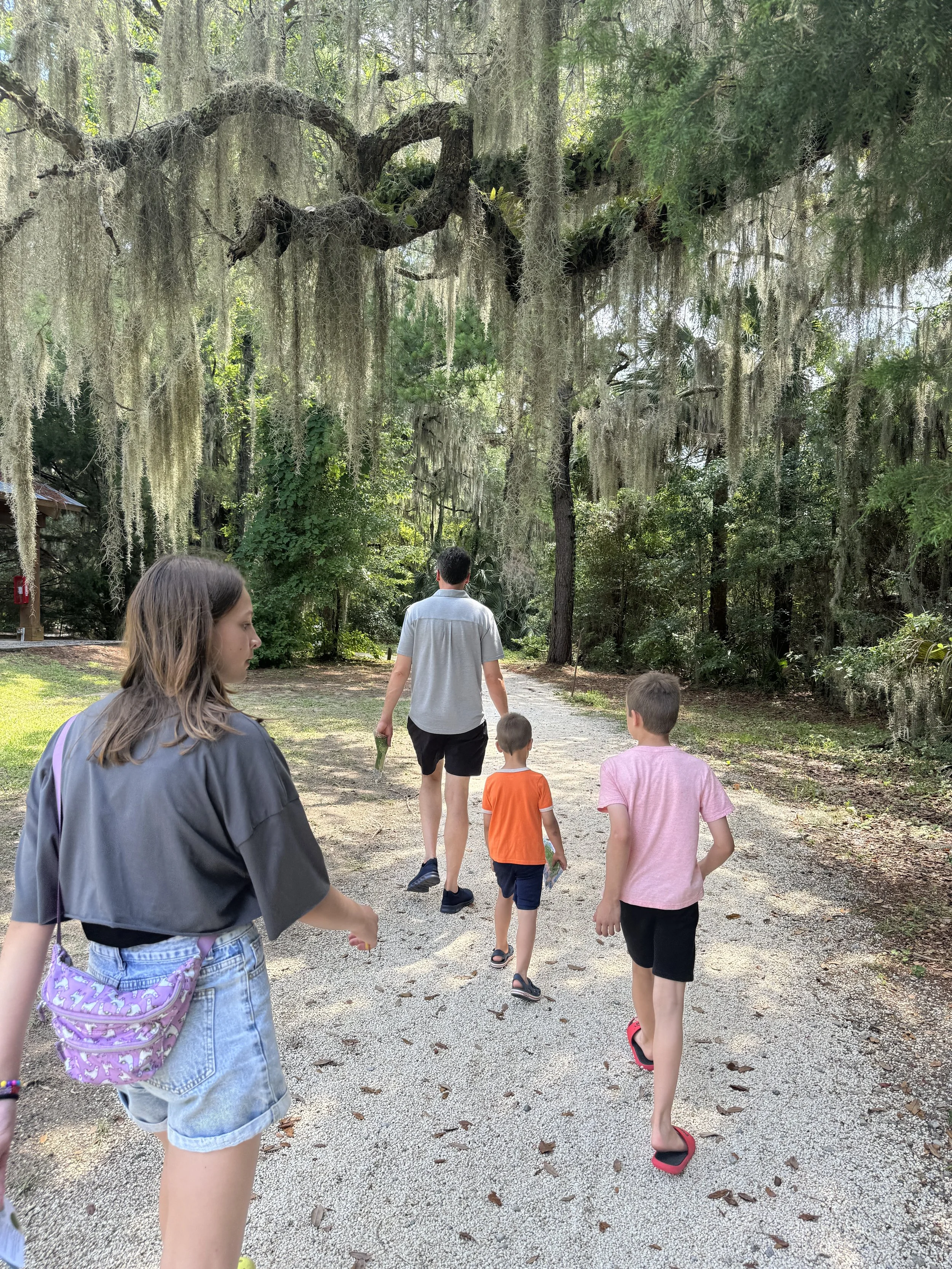 A group of people walking along a gravel path in a wooded area with moss hanging from the trees.