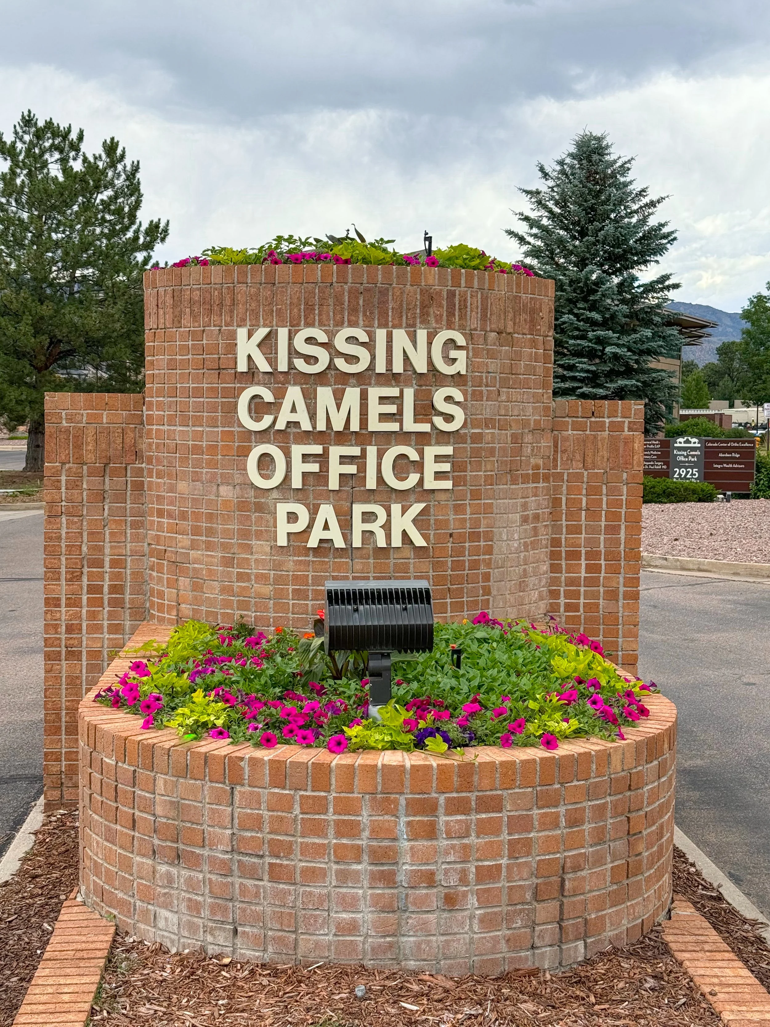 Kissing Camels 4.jpg