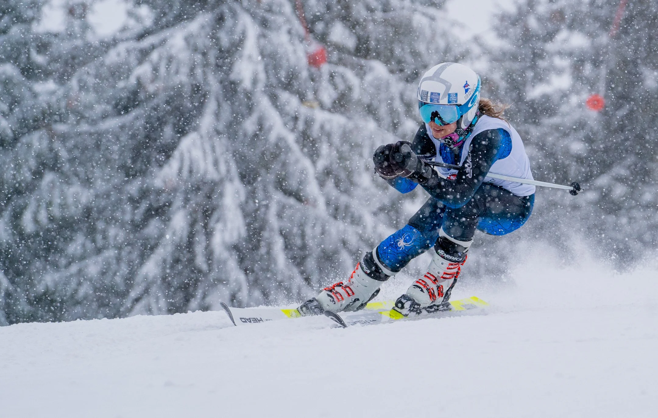 Skii Race-Mărișel