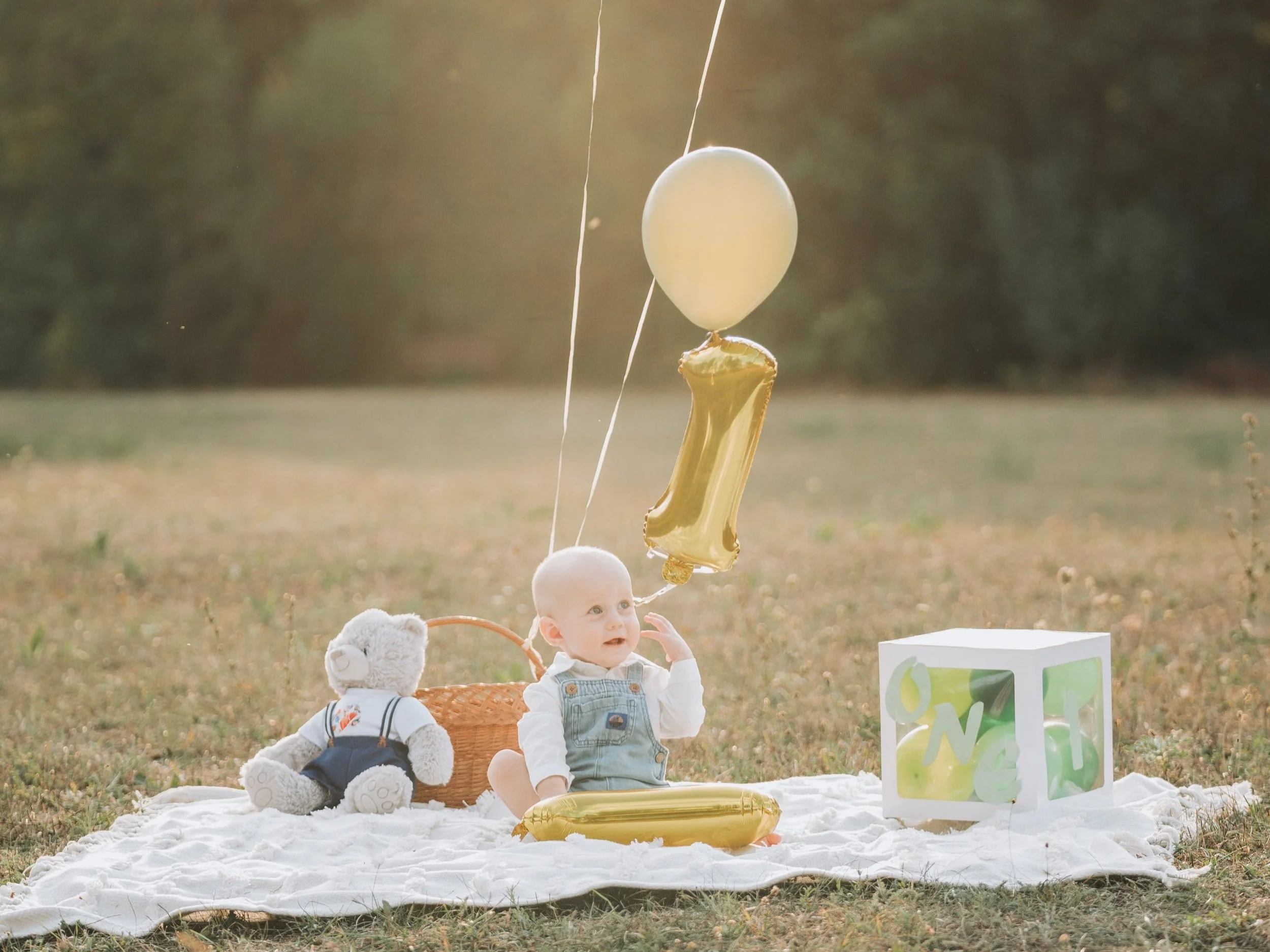 Ádám 1 Year Photoshoot
