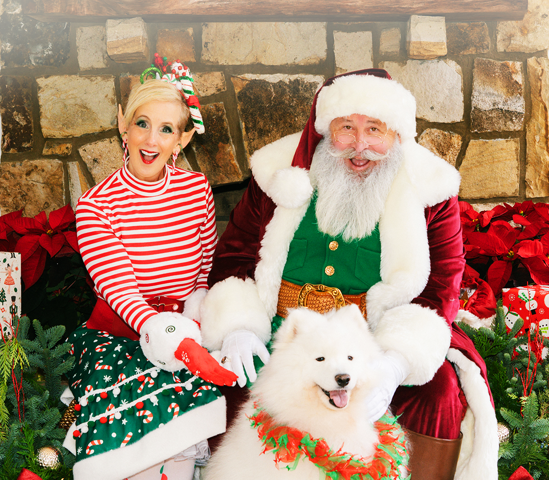 christmas dog.png