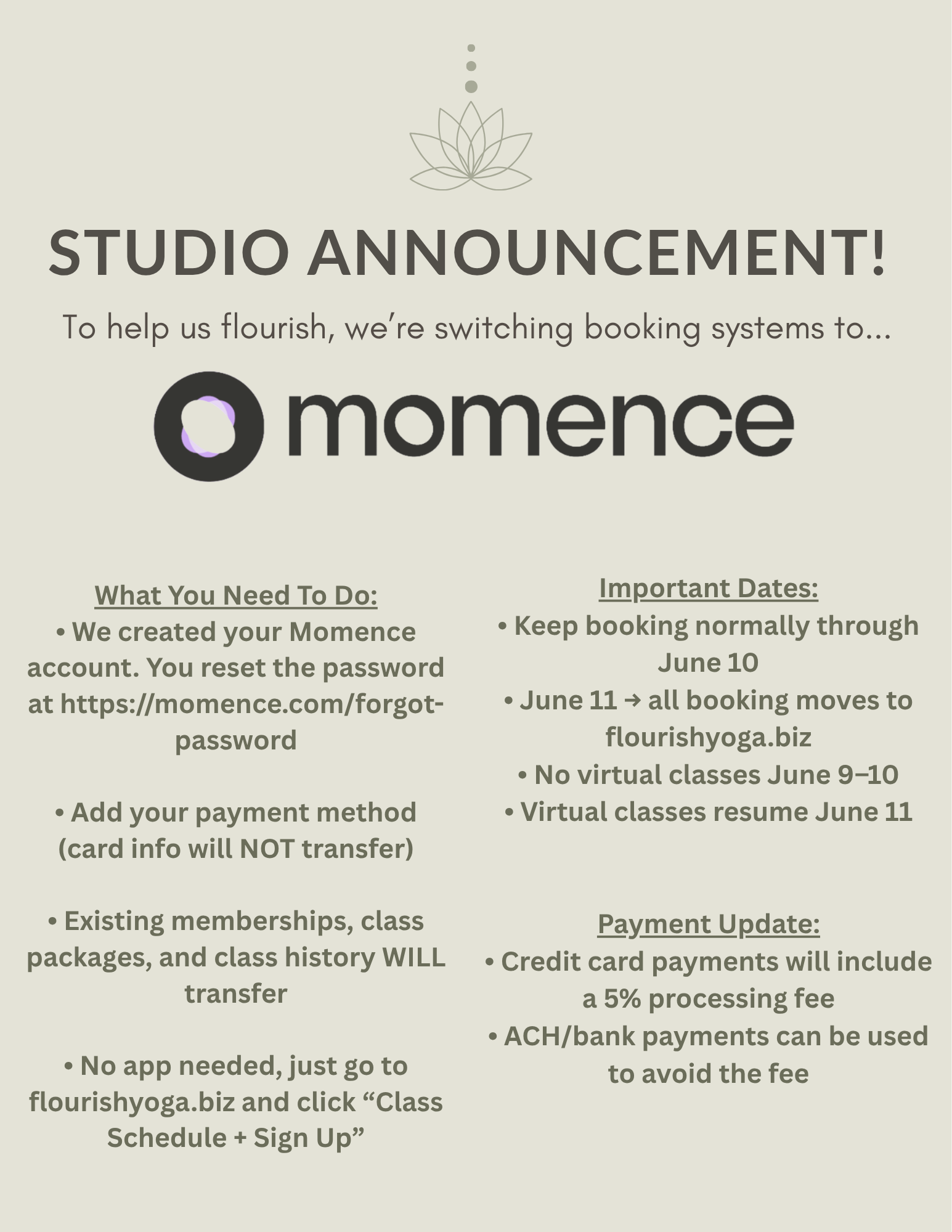Momence flyer.png