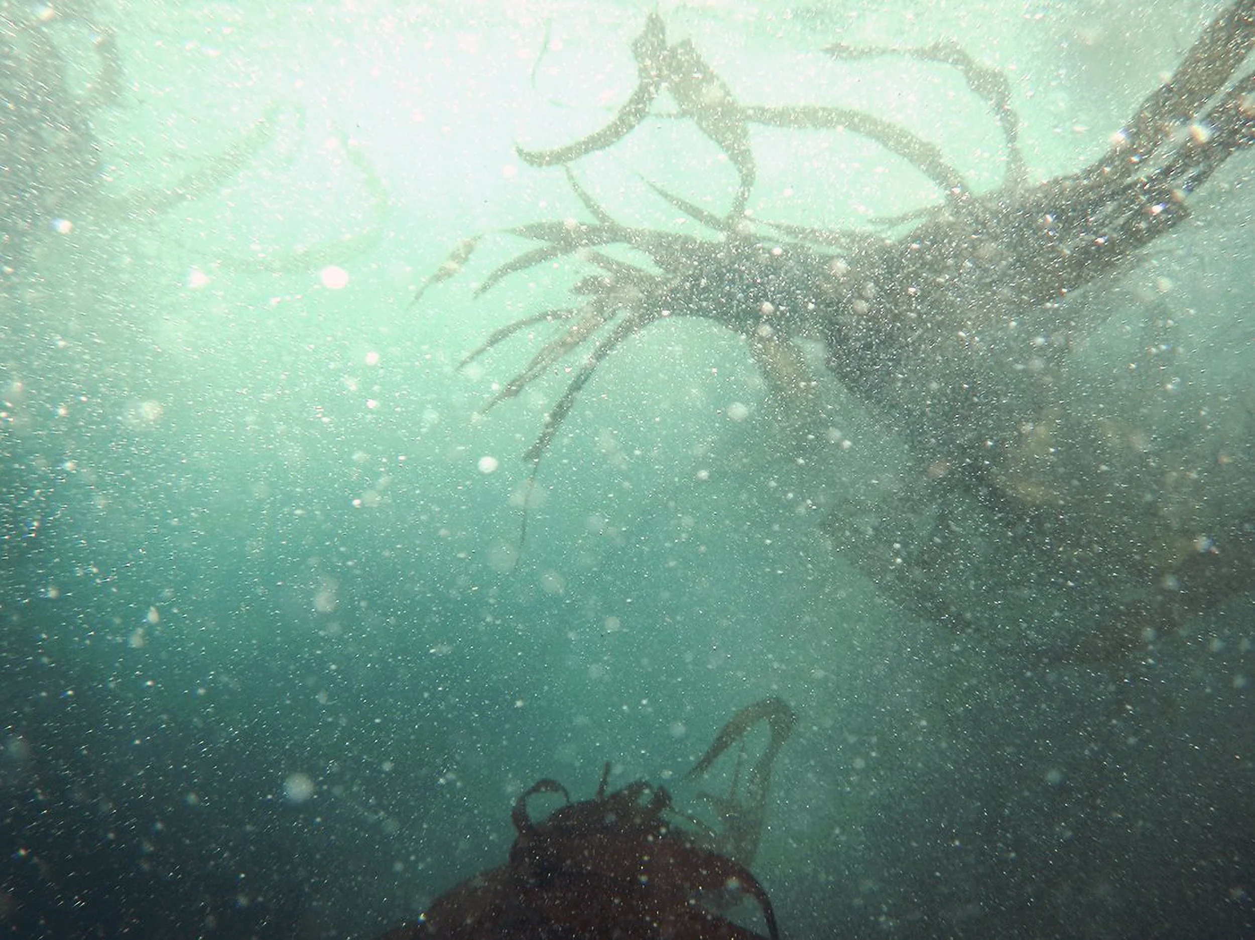 A Packaging Partner’s Perspective on the “Waste Crisis”