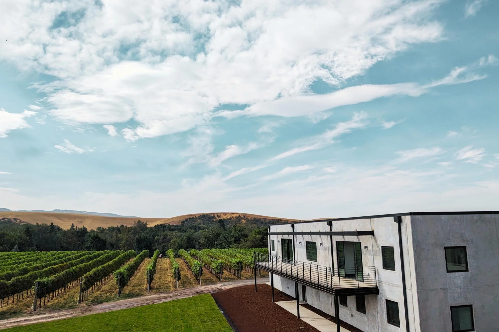 Walla Walla Vineyeards offices with large windows and metal balcony railing, overlooking a vineyard with rows of grapevines and green hill mountains in the background under a partly cloudy sky.