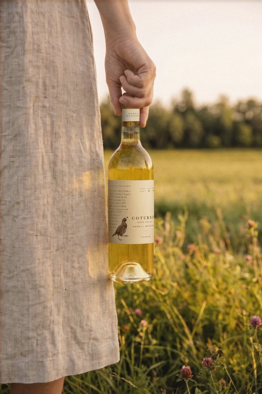 Coturnix Howell Mountain Napa Valley label detail and bottle being held in field