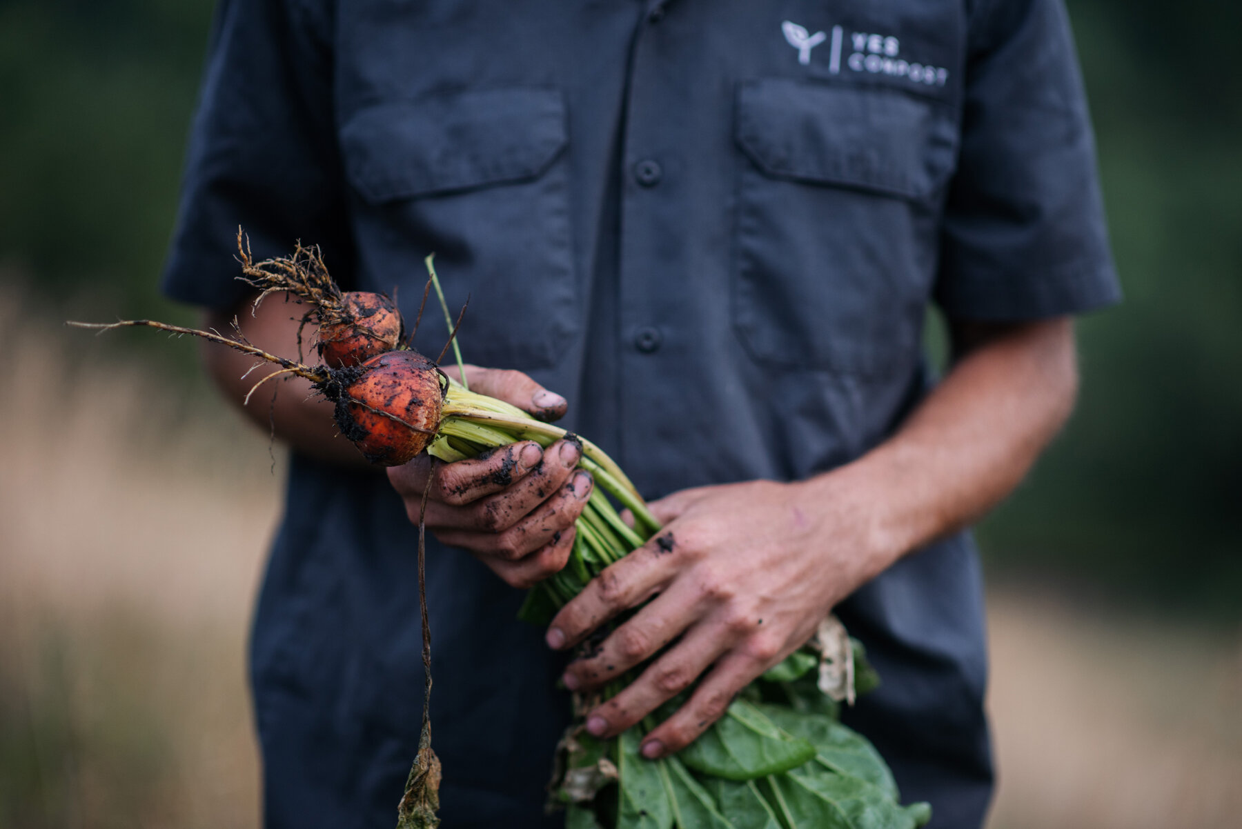 TownsendCollective_YES COMPOST-227.jpg