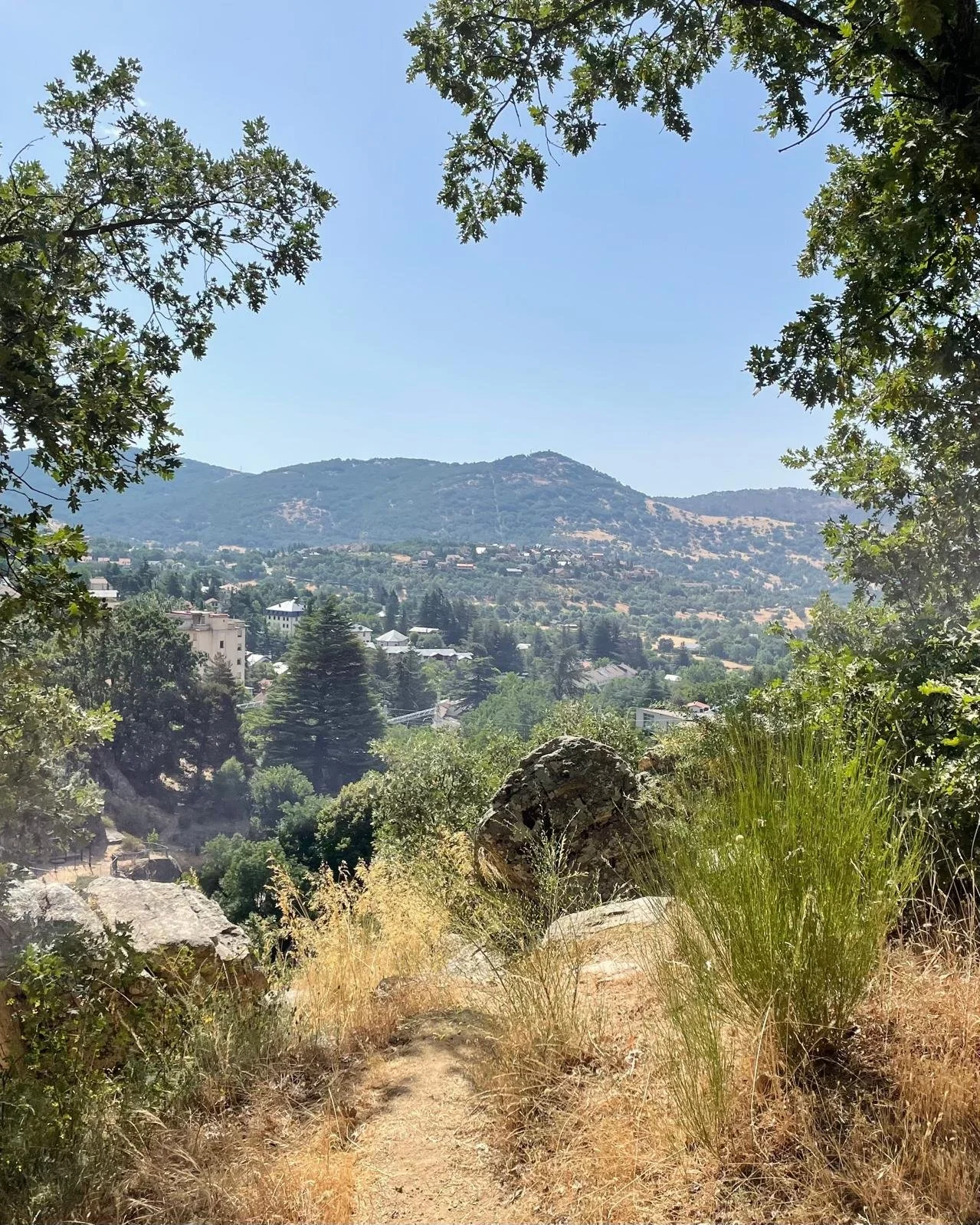 WhatsApp Image 2026-03-18 at 17.24.28.jpeg