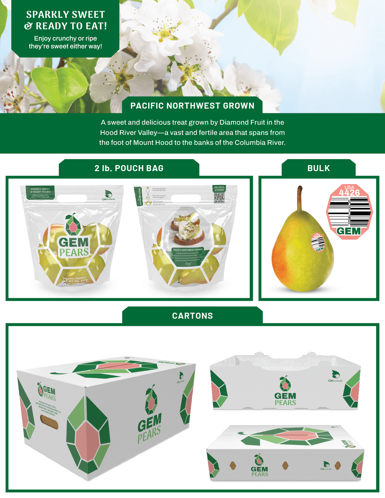 GEM_Pear-Sales_Sheet-2024-8_Aug-2024-2.png