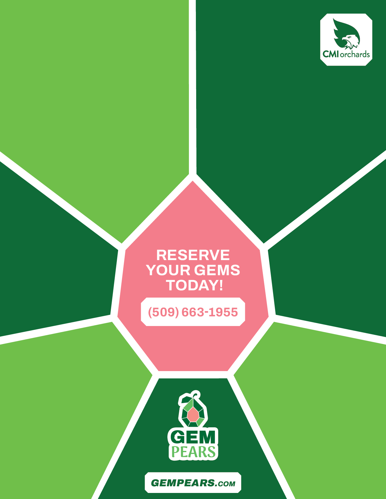 GEM_Pear-Sales_Sheet-2024-8_Aug-2024-4.png
