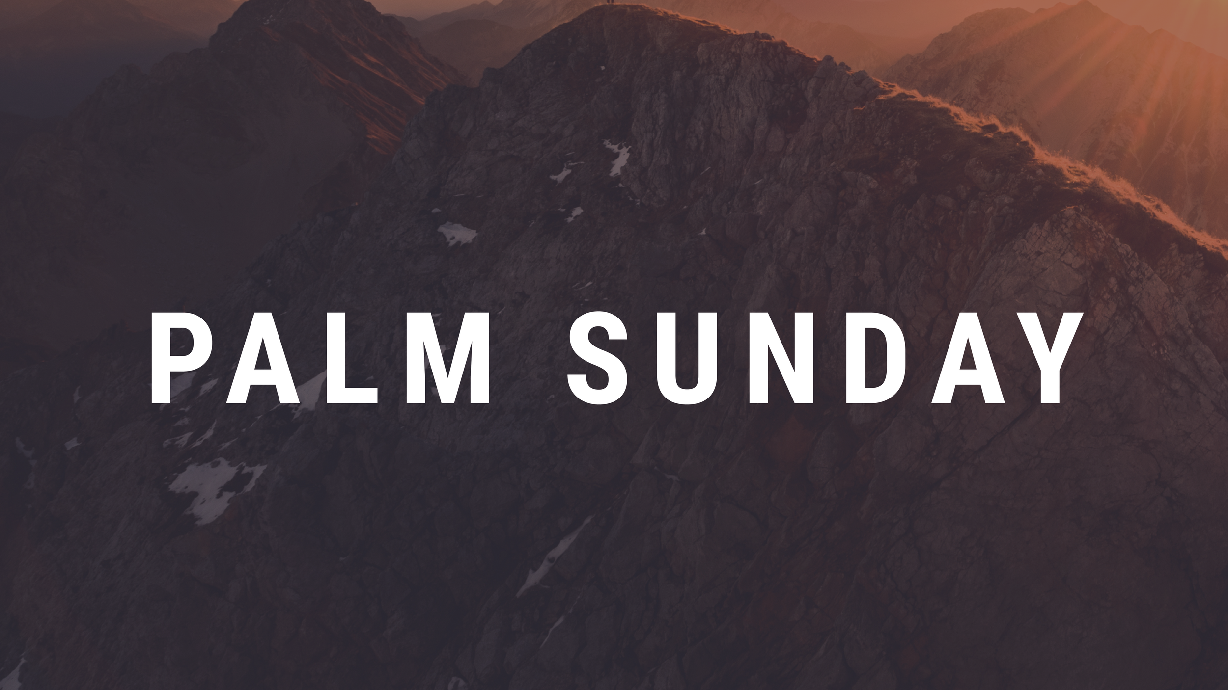 Palm Sunday 2026