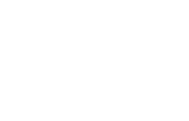 En grafisk ikon av ett sedel tillhörande pengar för att kommunicera att Vetz stöttar vid debitering.