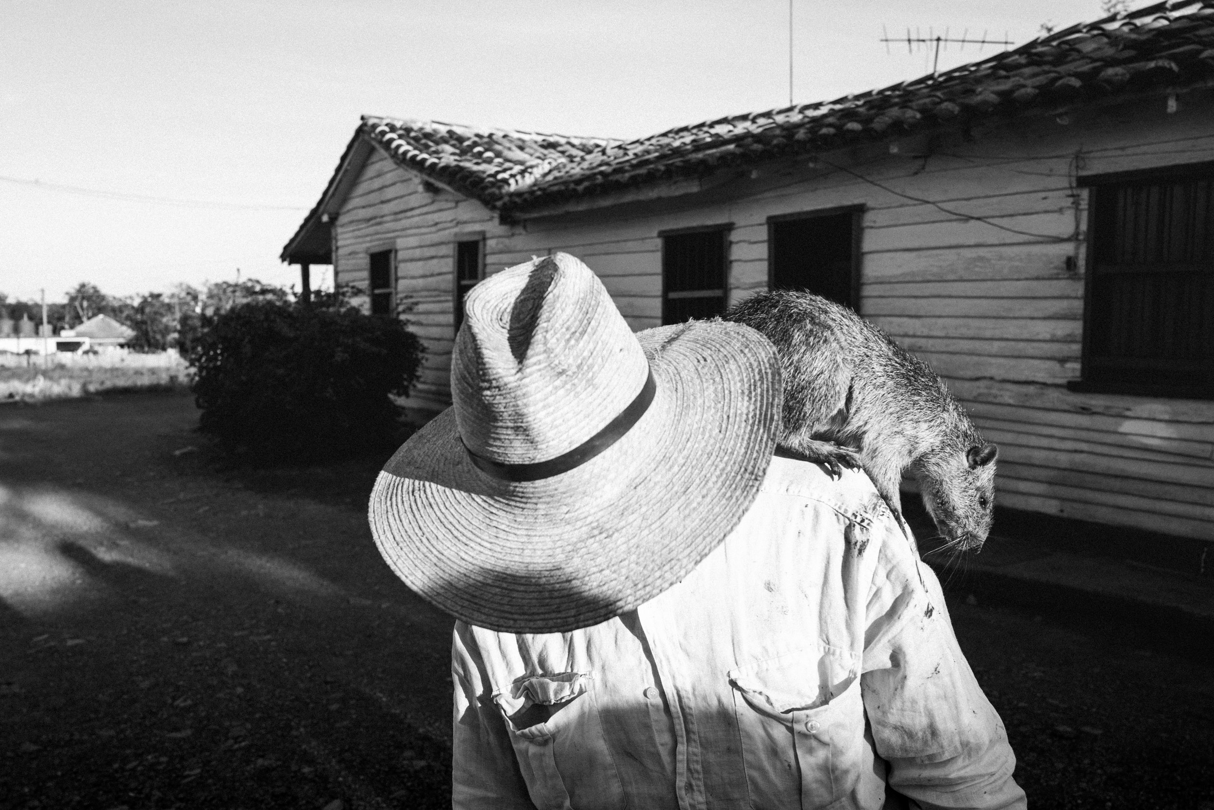 Guajiro and his pet jutia, Viñales, PInar del Río.jpg