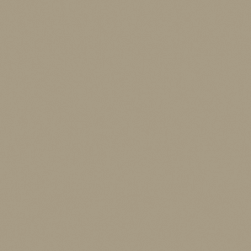 arena_banlight-duo-fr-sand-re03313.png