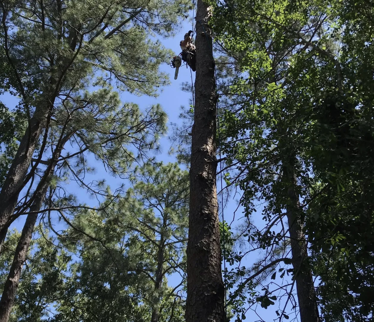 Screenshot at Jul 29 10-36-06.png