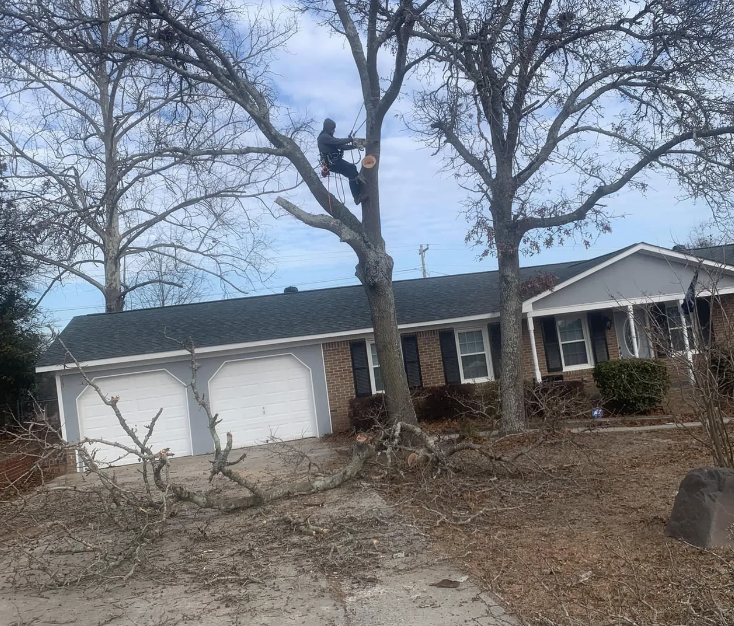 Screenshot at Jul 29 10-36-15.png