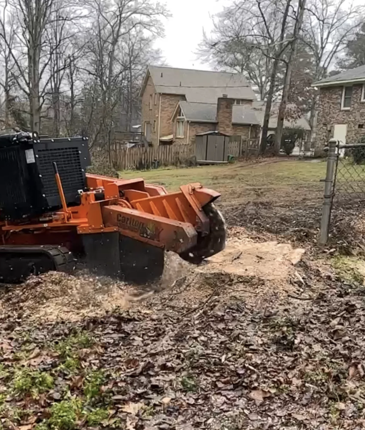 stump grinding.png