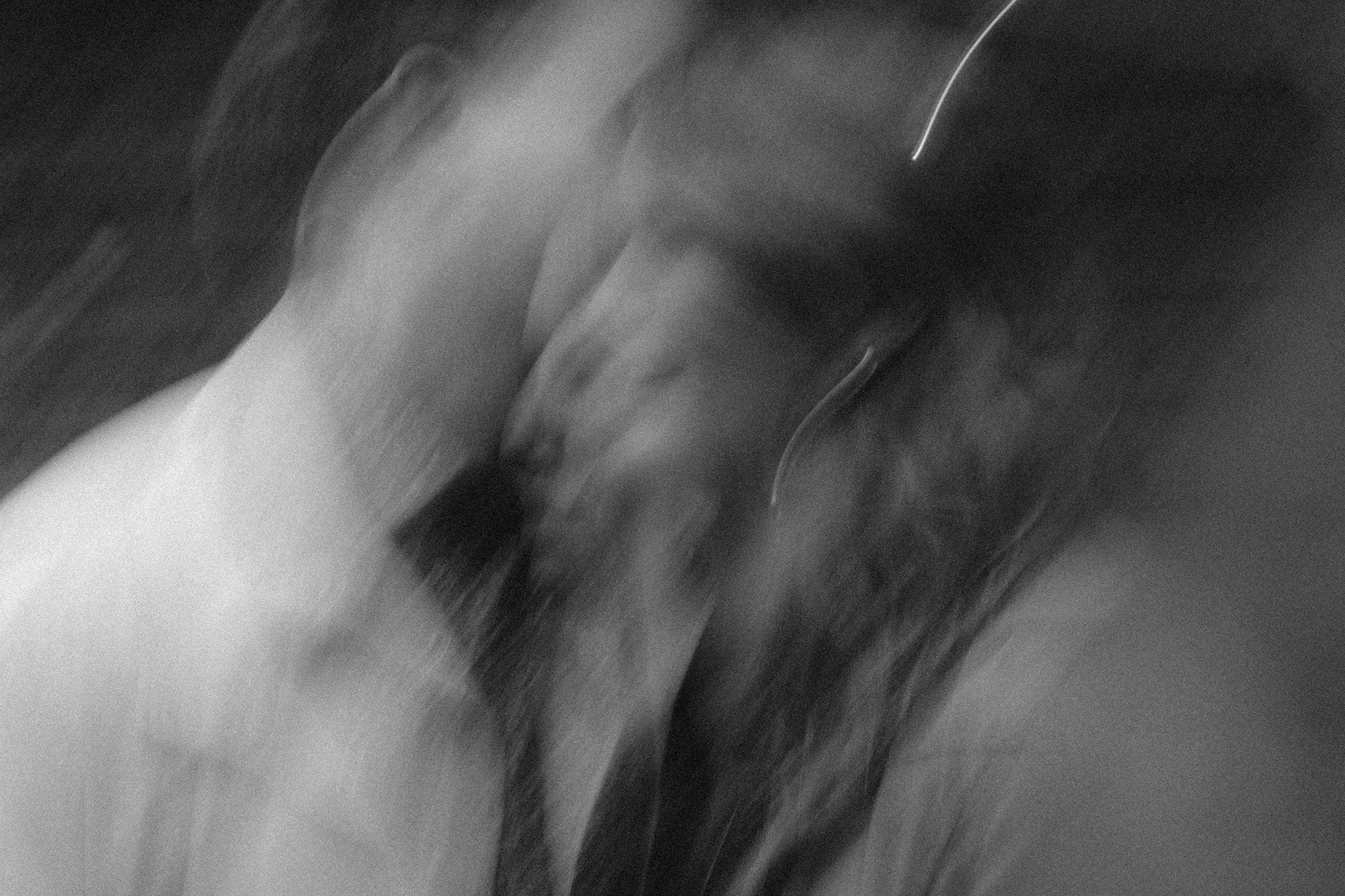 Aven_James_Engagement-32.jpg