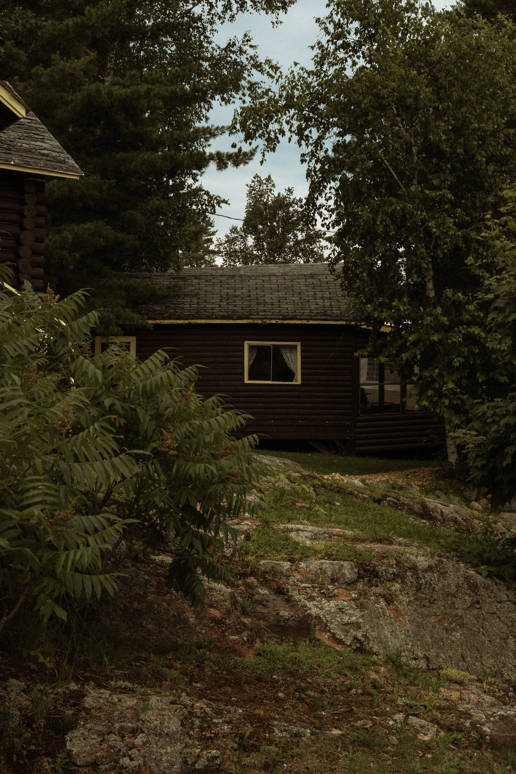 Laurel-Jim-75-2H2A2064.jpg