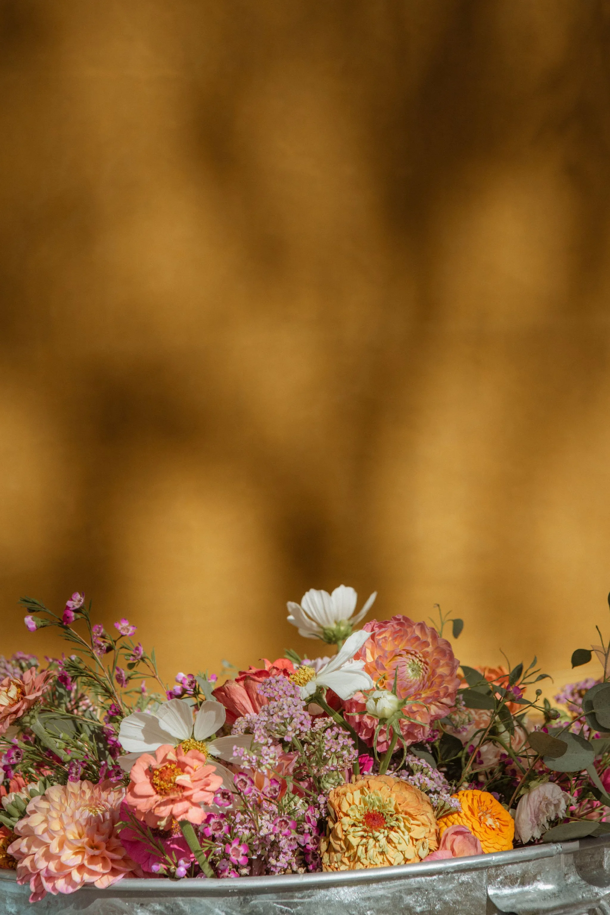 Aven_James_Wedding-1131.jpg