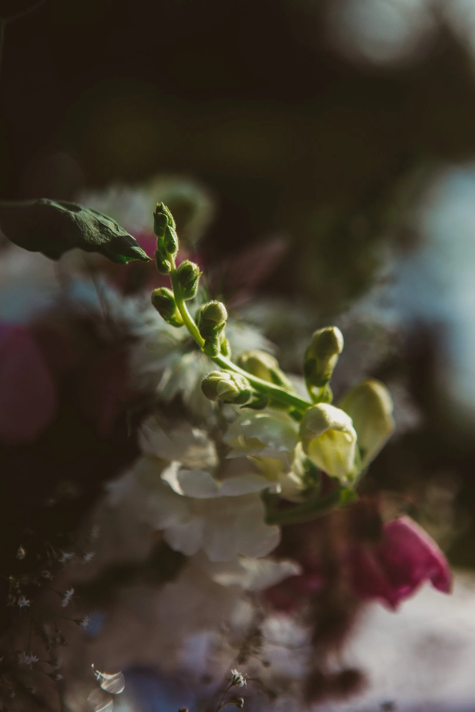 Emily_Alex_Wedding_720.jpg