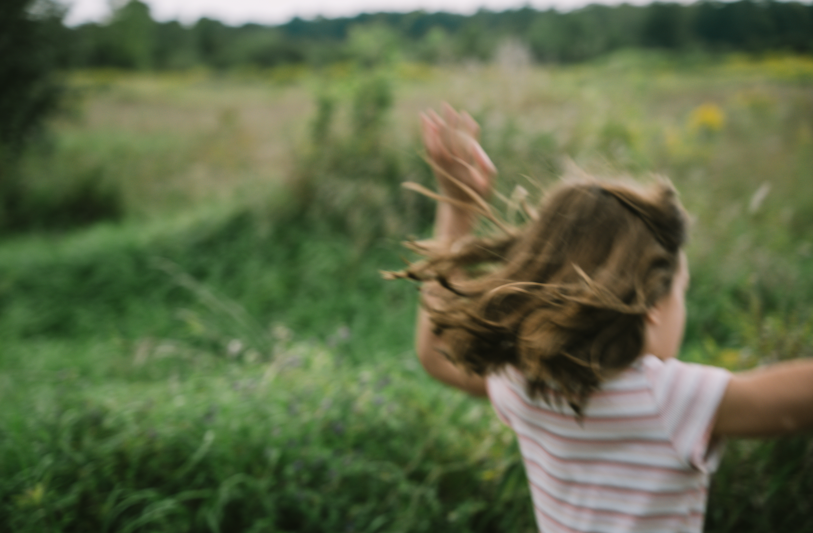 Screen Shot 2024-07-31 at 2.11.57 PM.png