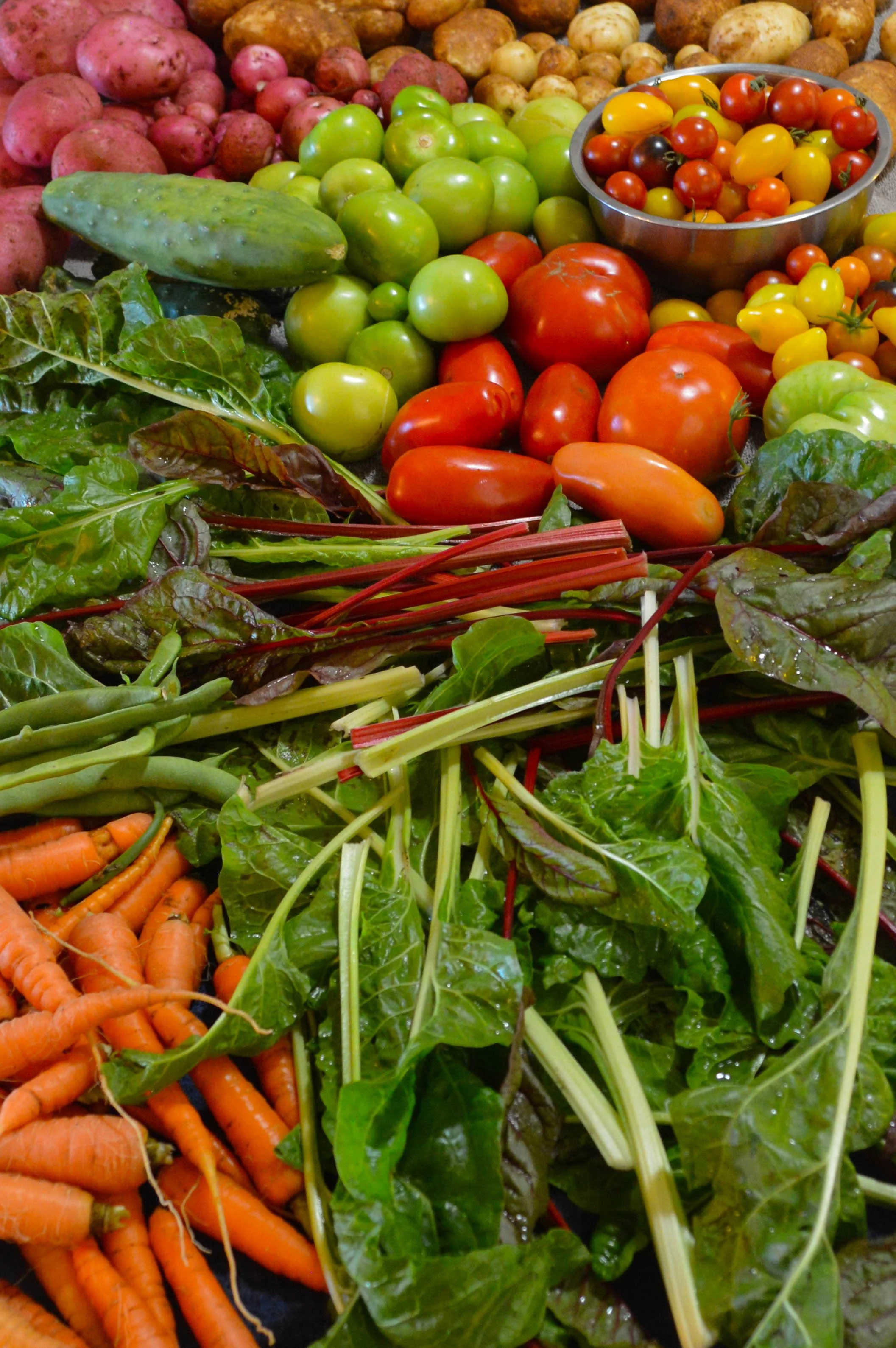 Close up image of produce, including carrots chard, and tomatoes.