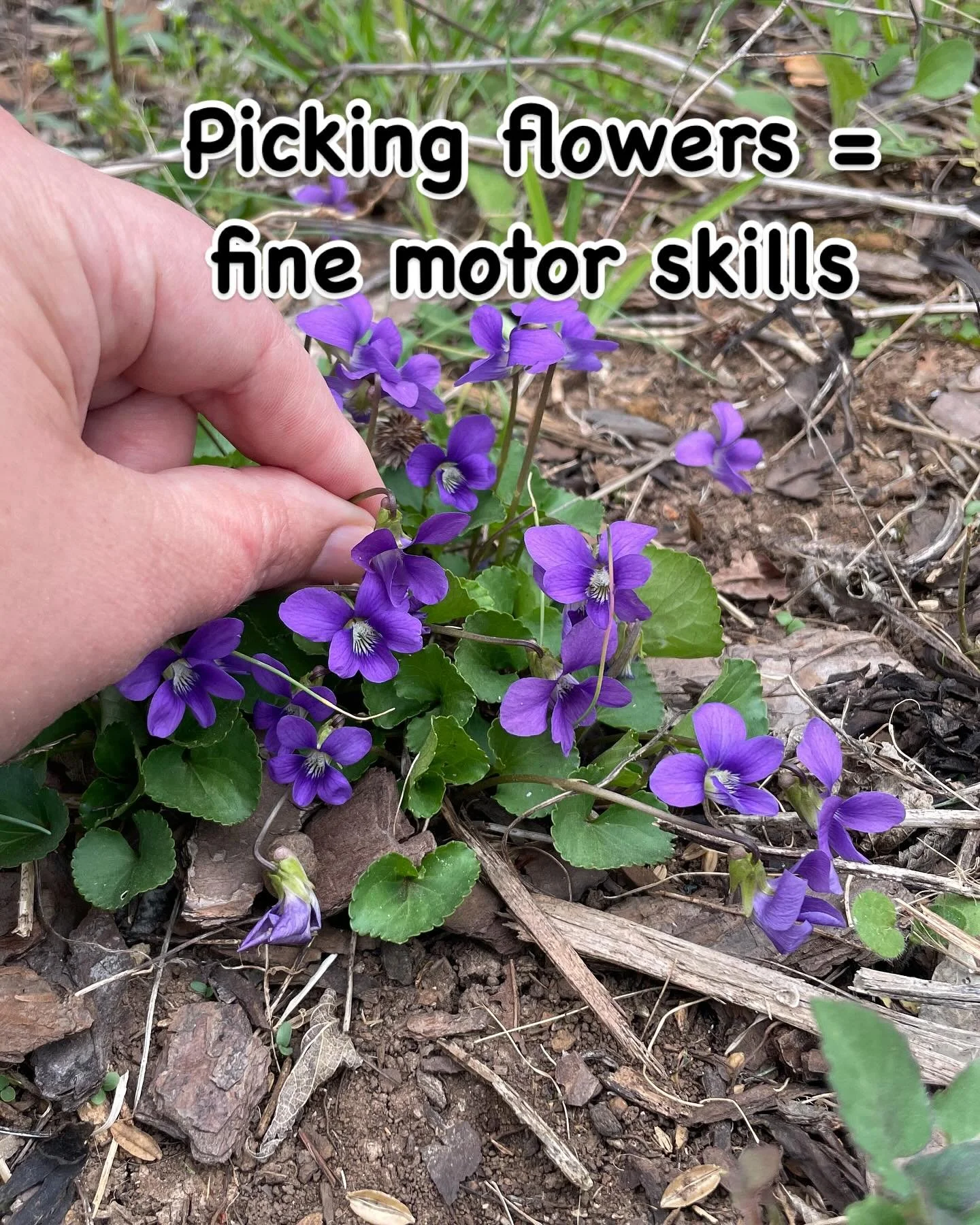 Encourage kids to use their thumb and pointer fingers when picking flowers this spring. Great fine motor skills work! #finemotoractivities #preschool #occupationaltherapy