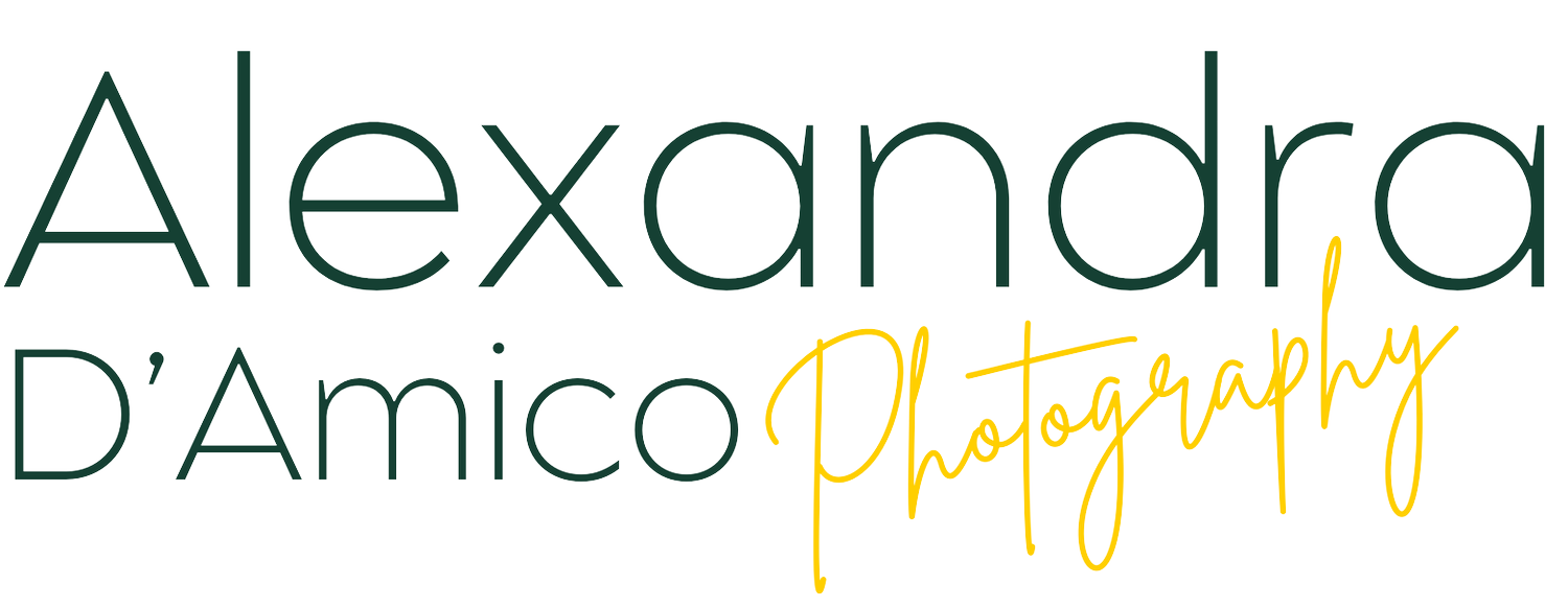 Alexandra DAmico Photography