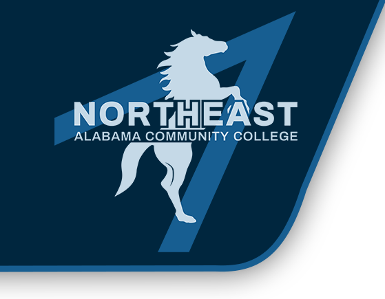 NACC Community Resource Fair