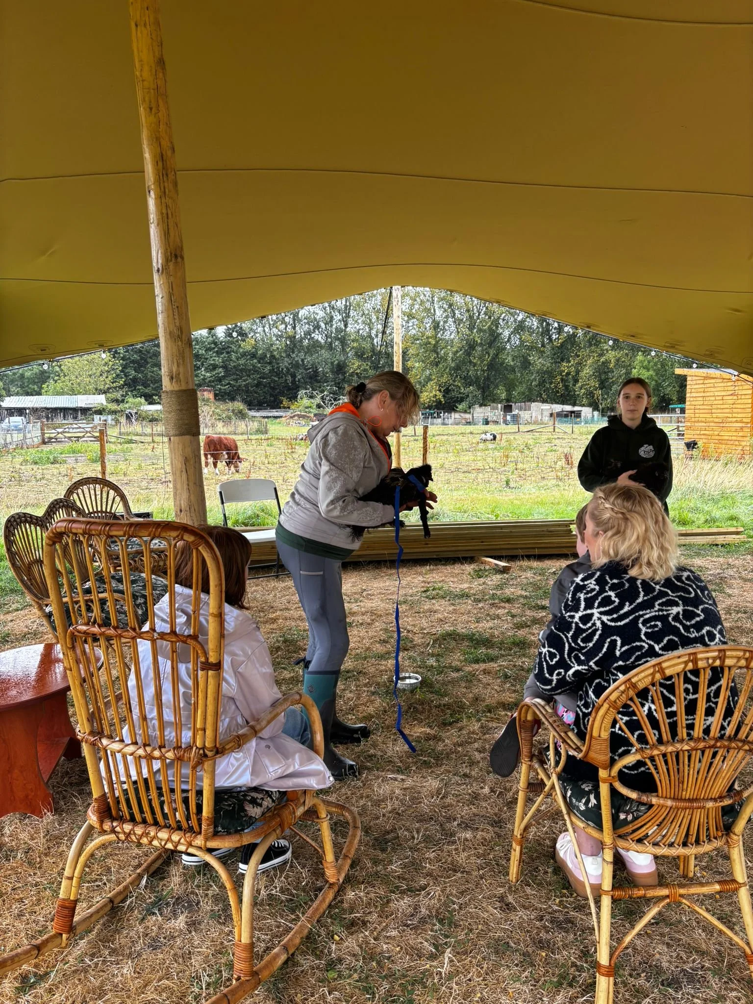 Group of people under a tent on a farm, with cows in the background, sitting and standing around a table and chairs, with a woman holding a small dog.