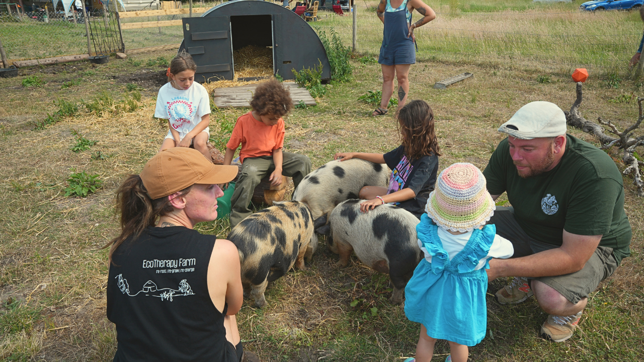 A brown pony with a white face and blue eyes stands behind a wire fence at sunset, with three small goats nearby grazing and resting in a farmyard.