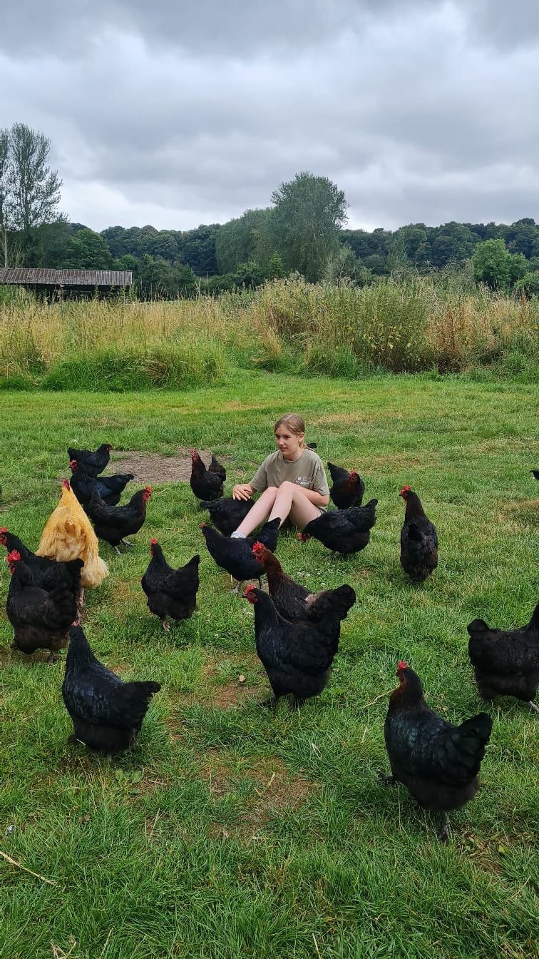 Group of children and two adults interacting with piglets in an outdoor farm setting.