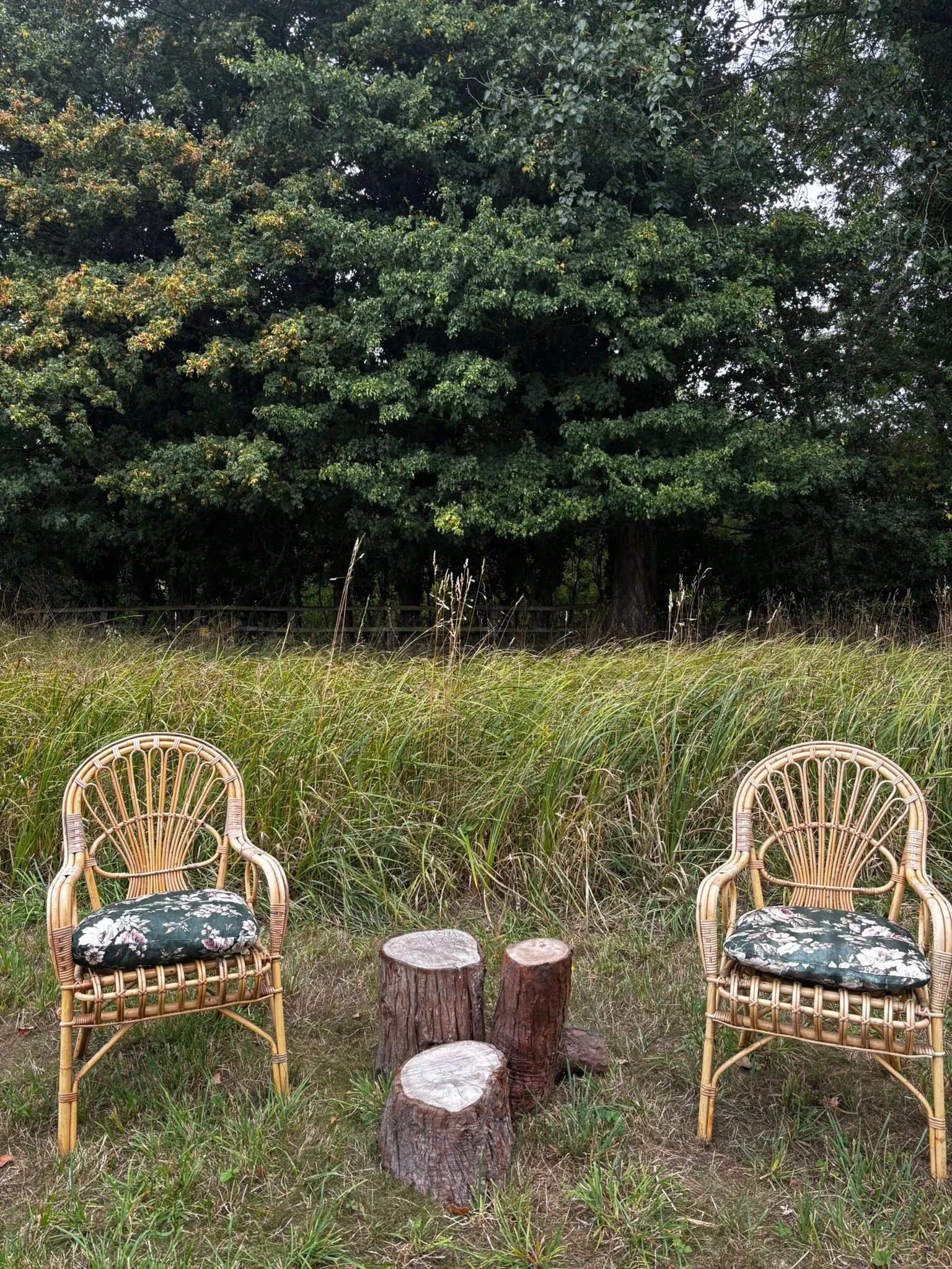 Two rattan chairs with black floral cushions facing each other with three tree stump tables between them, set outdoors on grass with tall grass and shrubs behind, and a large leafy tree in the background.