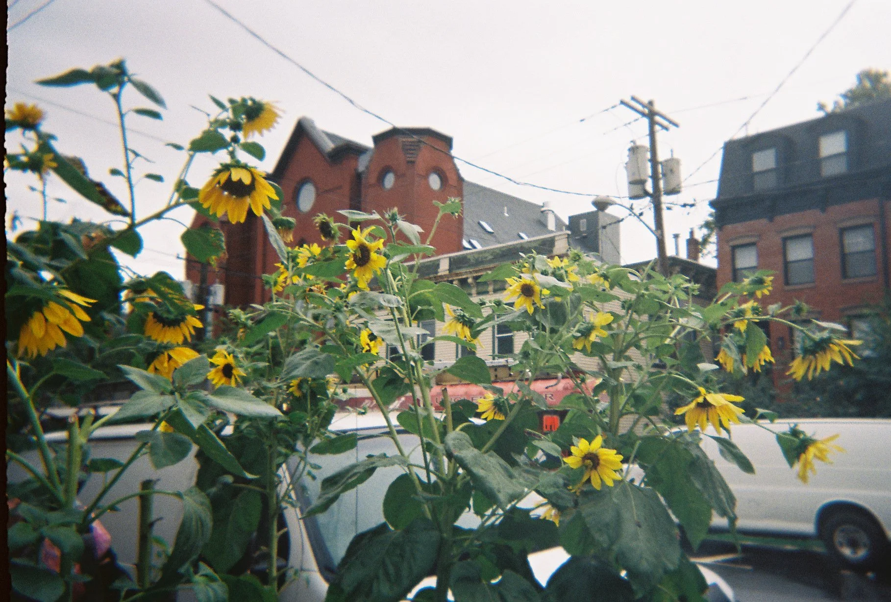 Mike_Brint-scottf000008-R1-E015.jpg