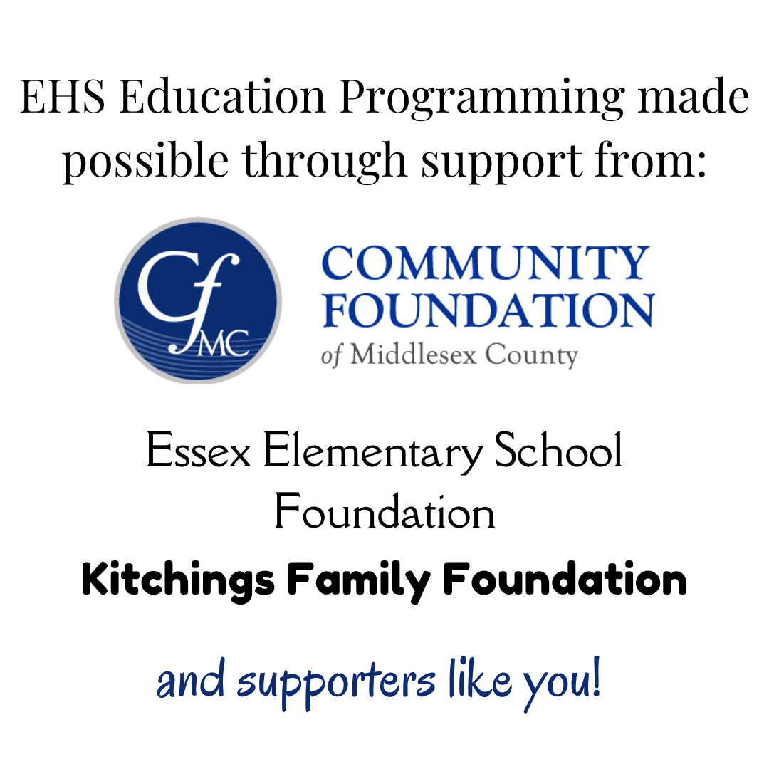 education grant .png