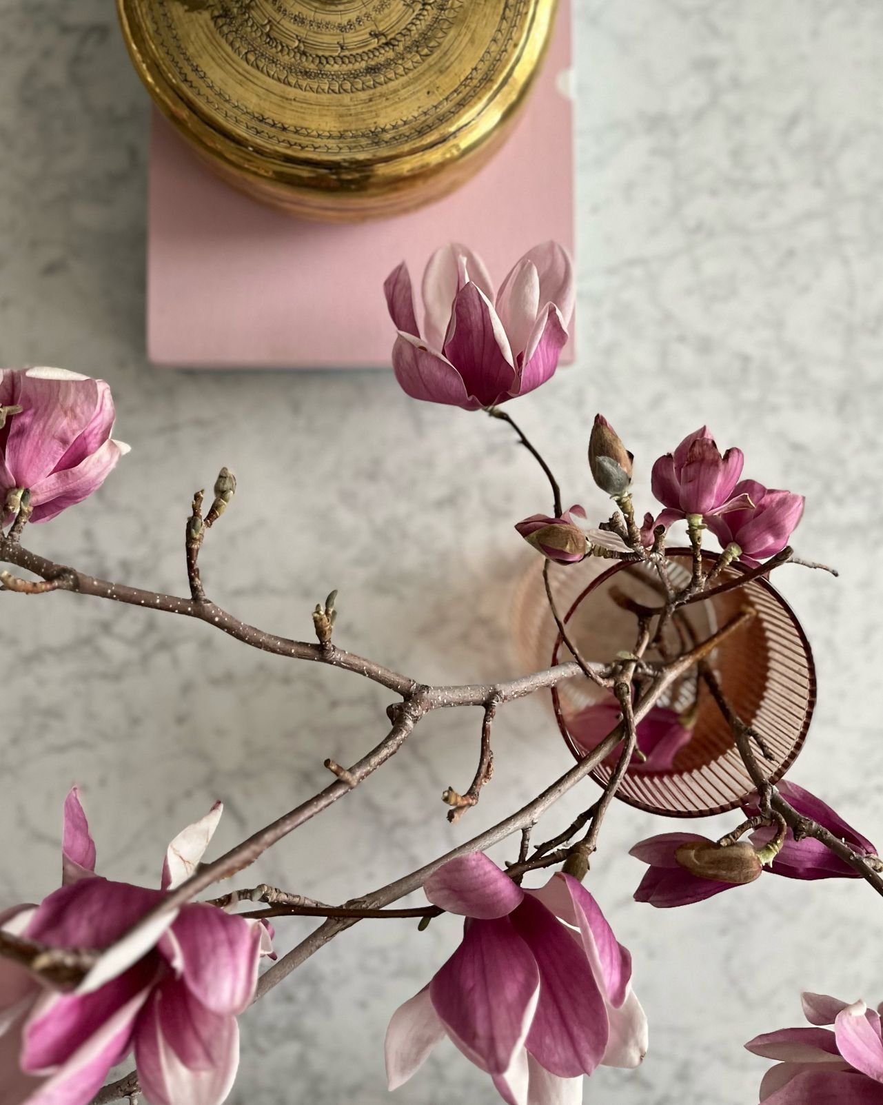 spring blooms for a much needed serotonin boost