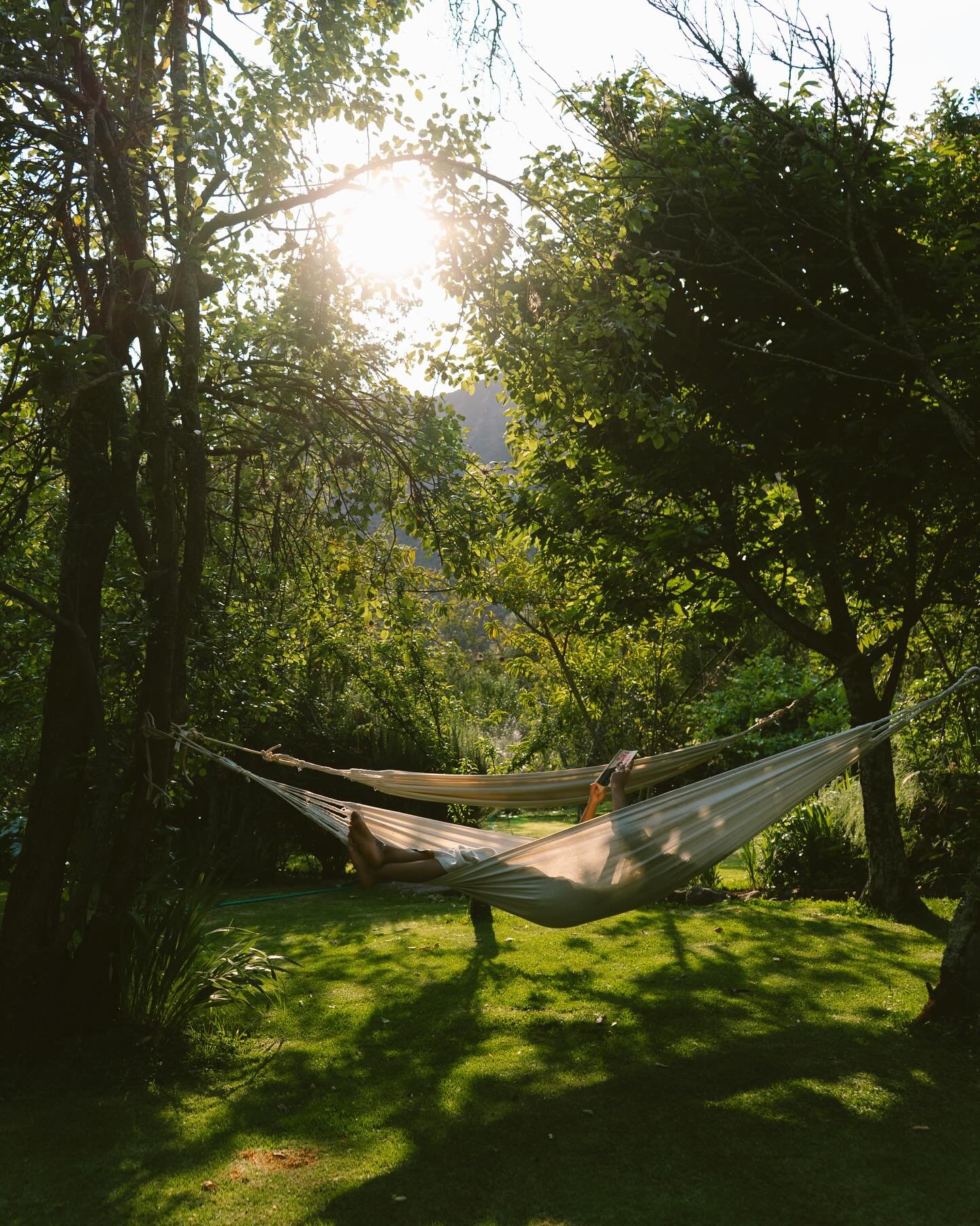 🌿 Take a moment for yourself in the heart of our lush garden. Our hammocks invite you to relax, unwind, and let the peaceful sounds of nature wash over you. Whether it&rsquo;s with a good book, your favorite playlist, or simply the quiet, this is yo