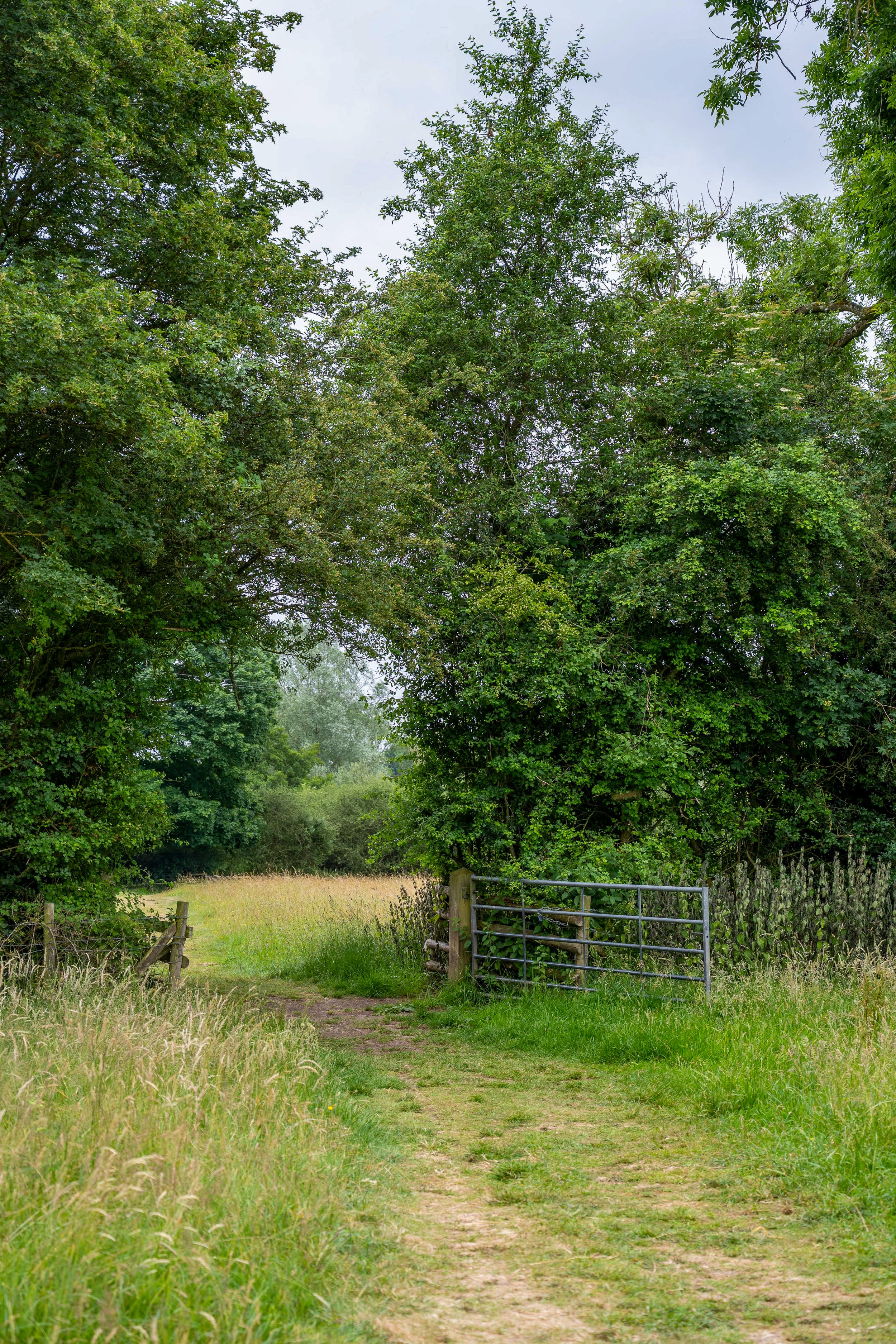 Landscape Collection