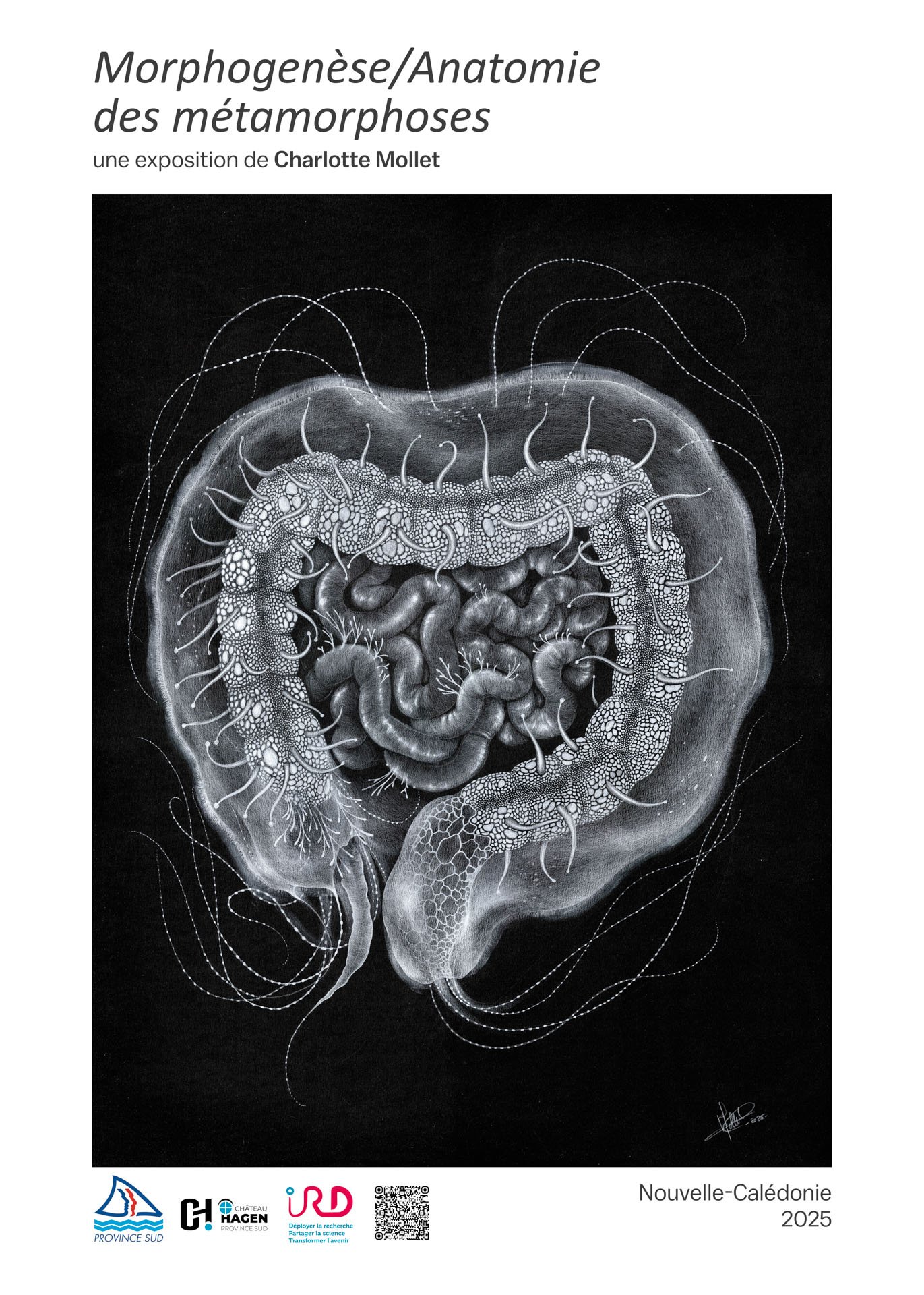 Affiche Morphogenèse " Apolemia "