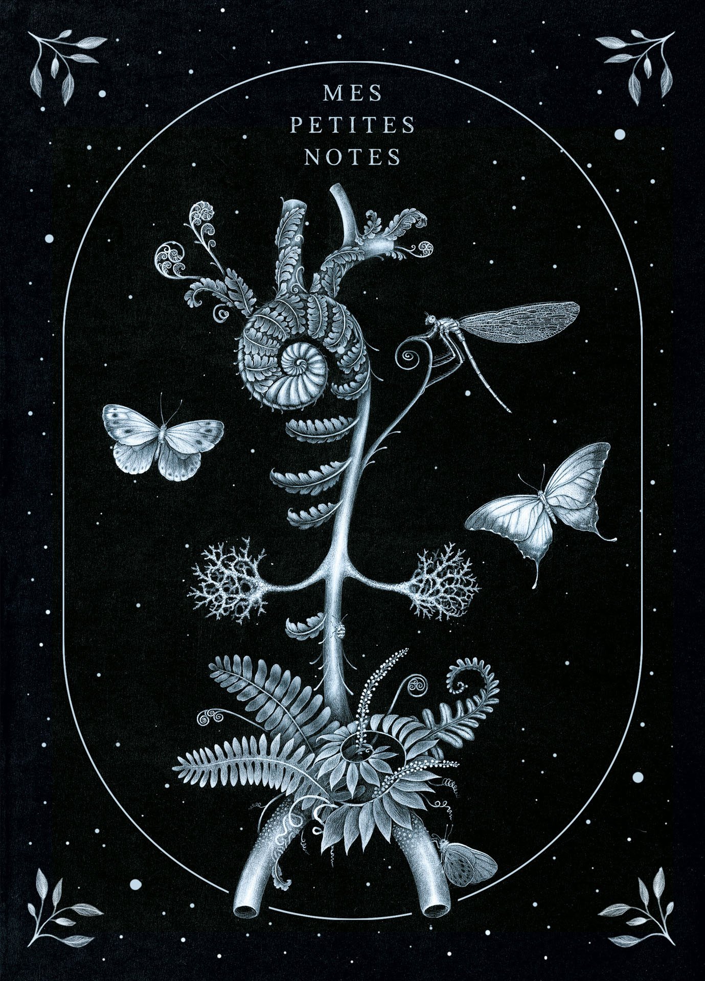 Arbor_Spinalis.jpg