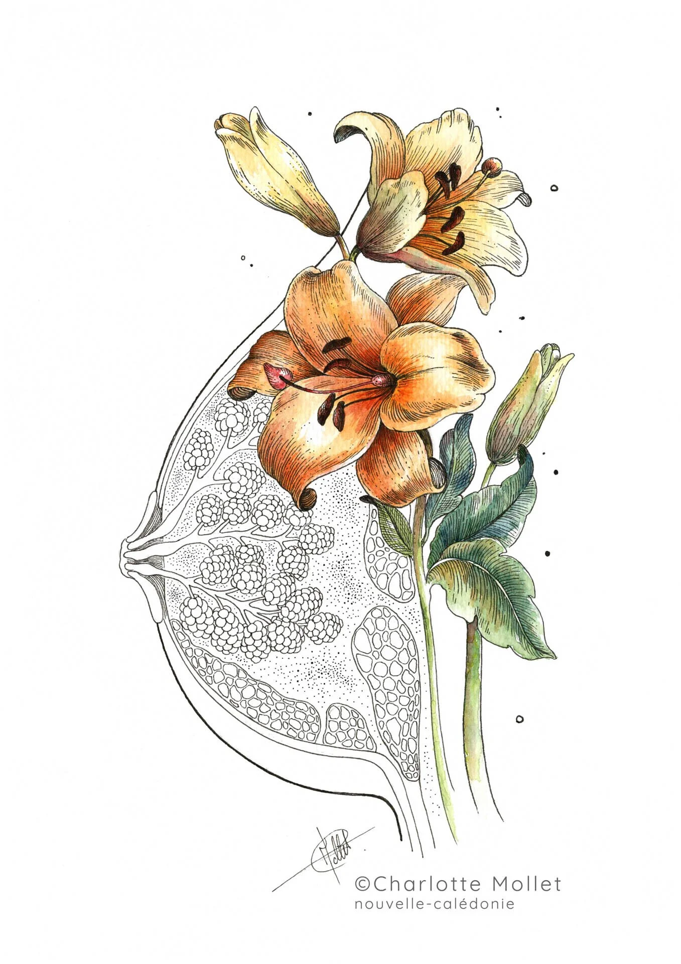 Sein floral.jpg