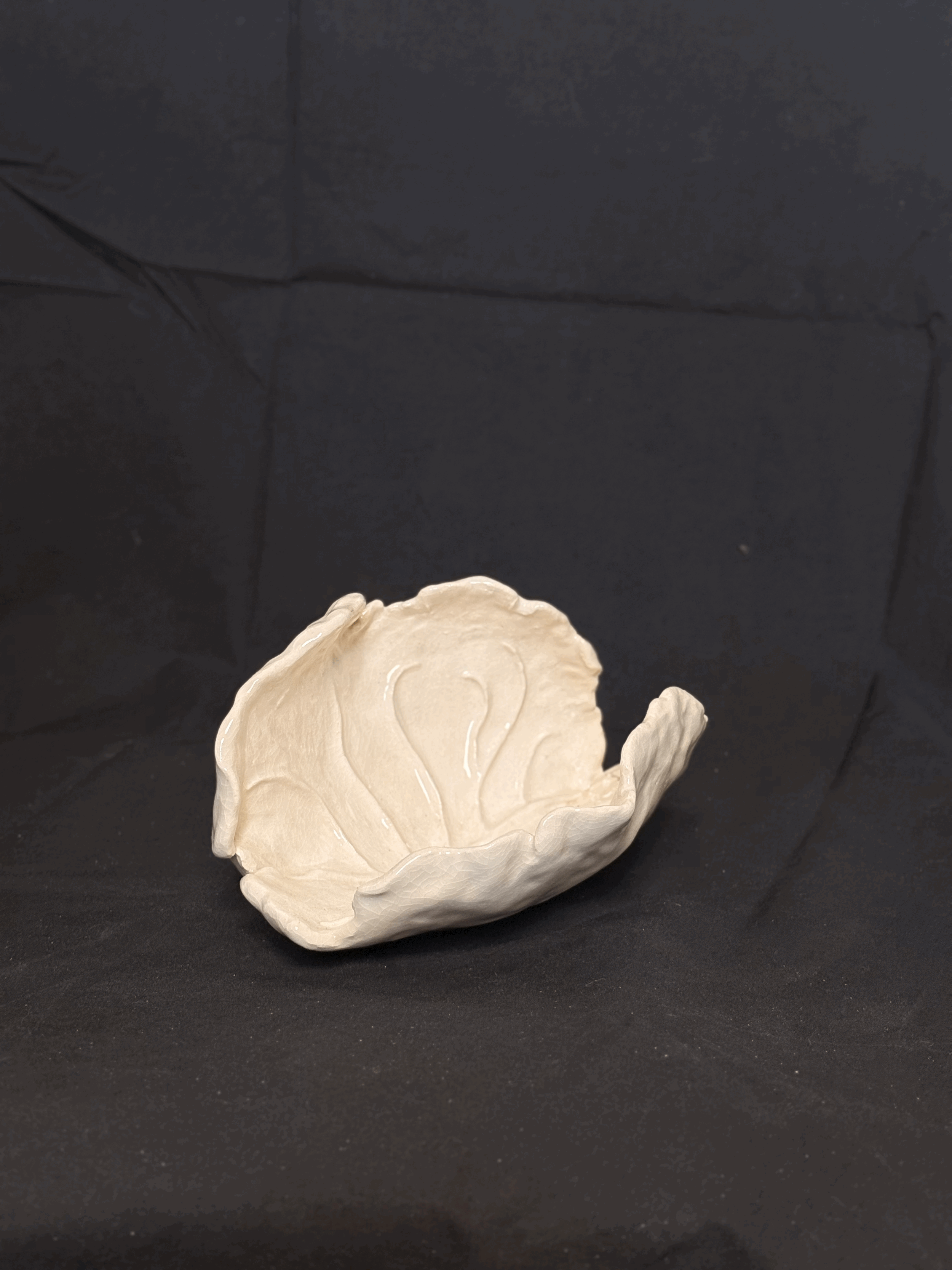 Coquille