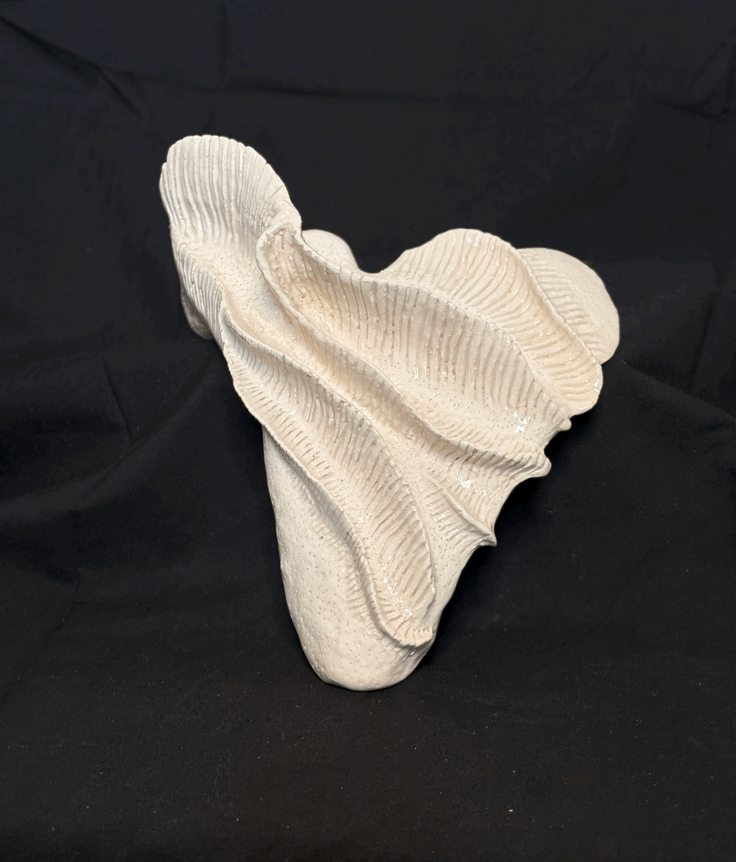 Vitalia Ex Scapula