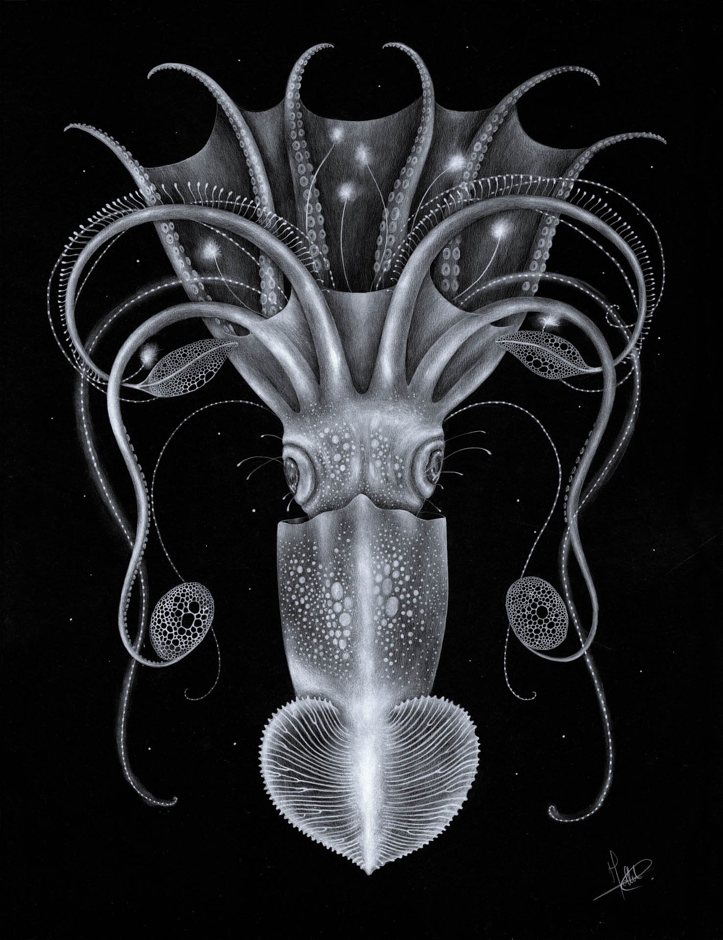 Tirage d' Art " Hermaphopoda "