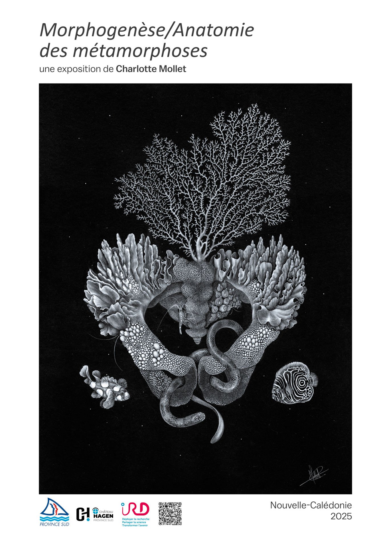 Affiche Morphogenèse "Bassin corallien"