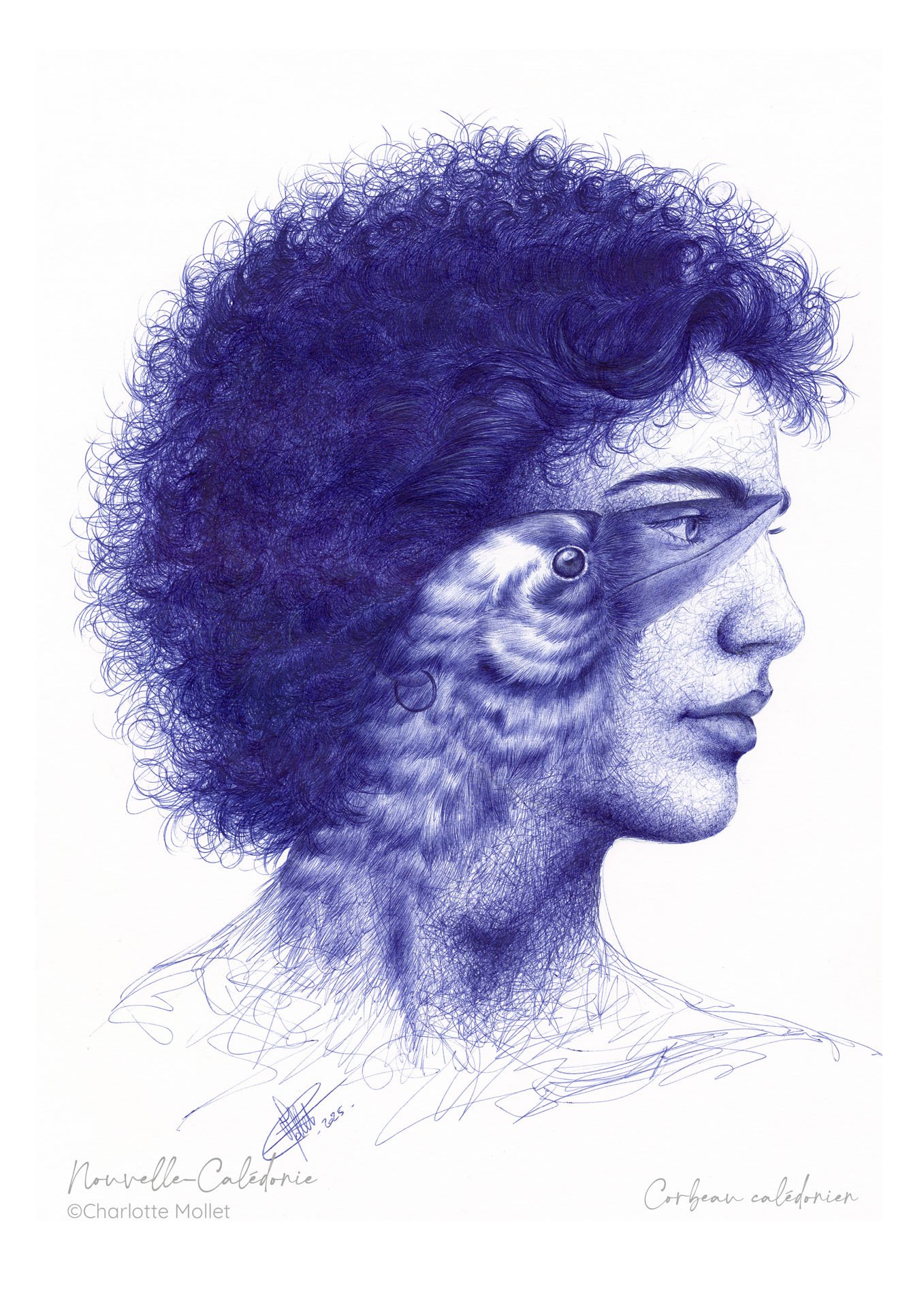 " Ingénieux " - L' homme et le corbeau